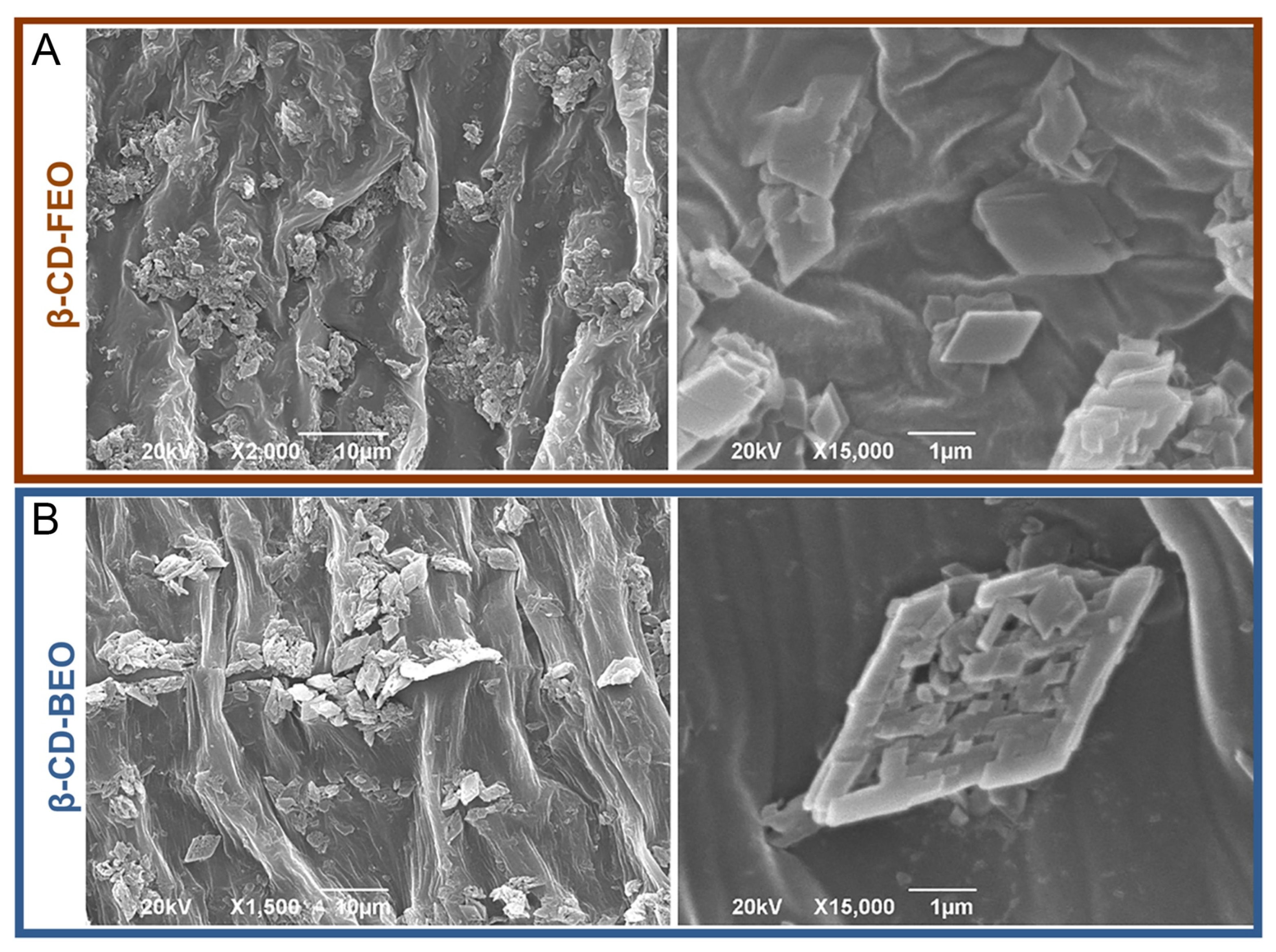Biomolecules 14 00353 g006