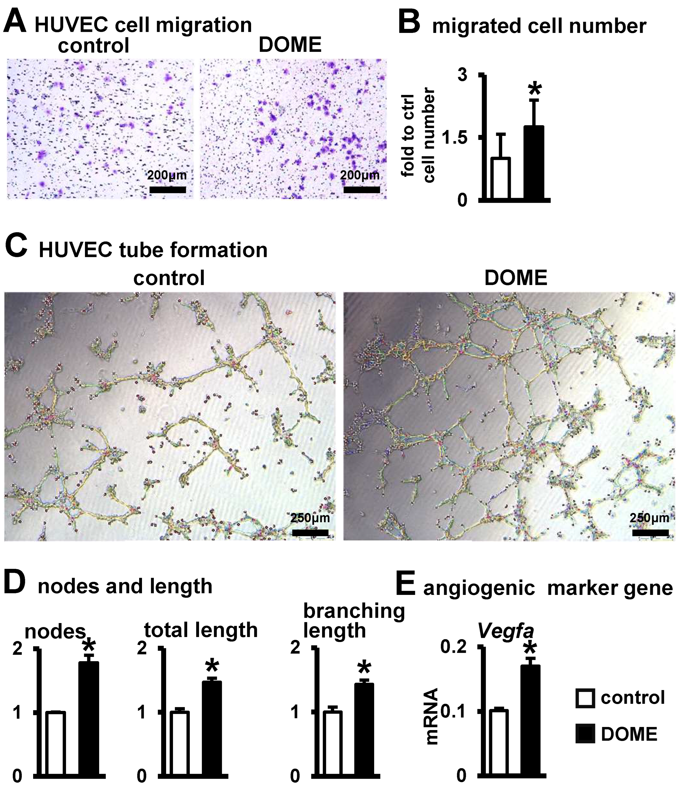 Biomolecules 14 00354 g004