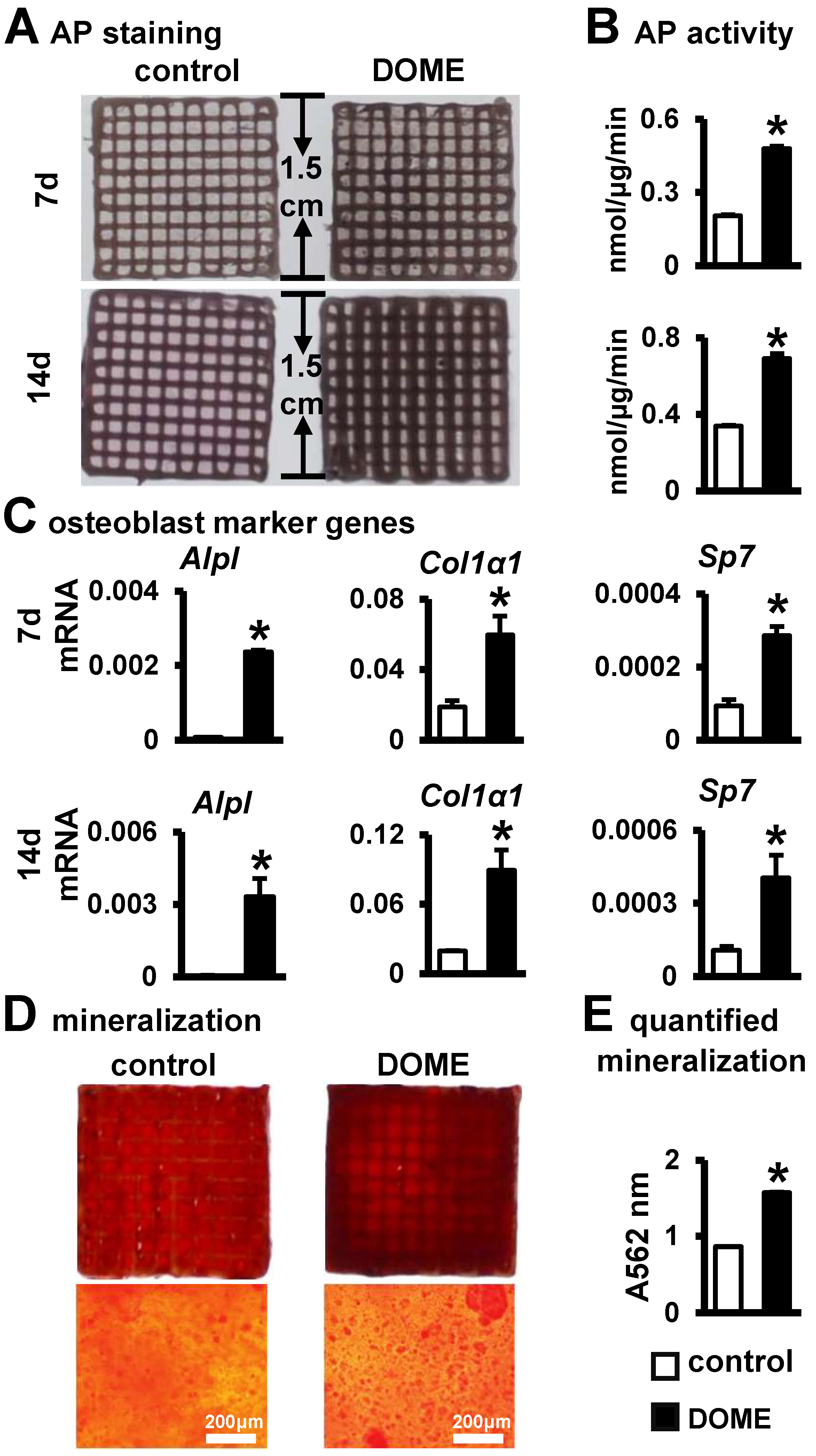 Biomolecules 14 00354 g007