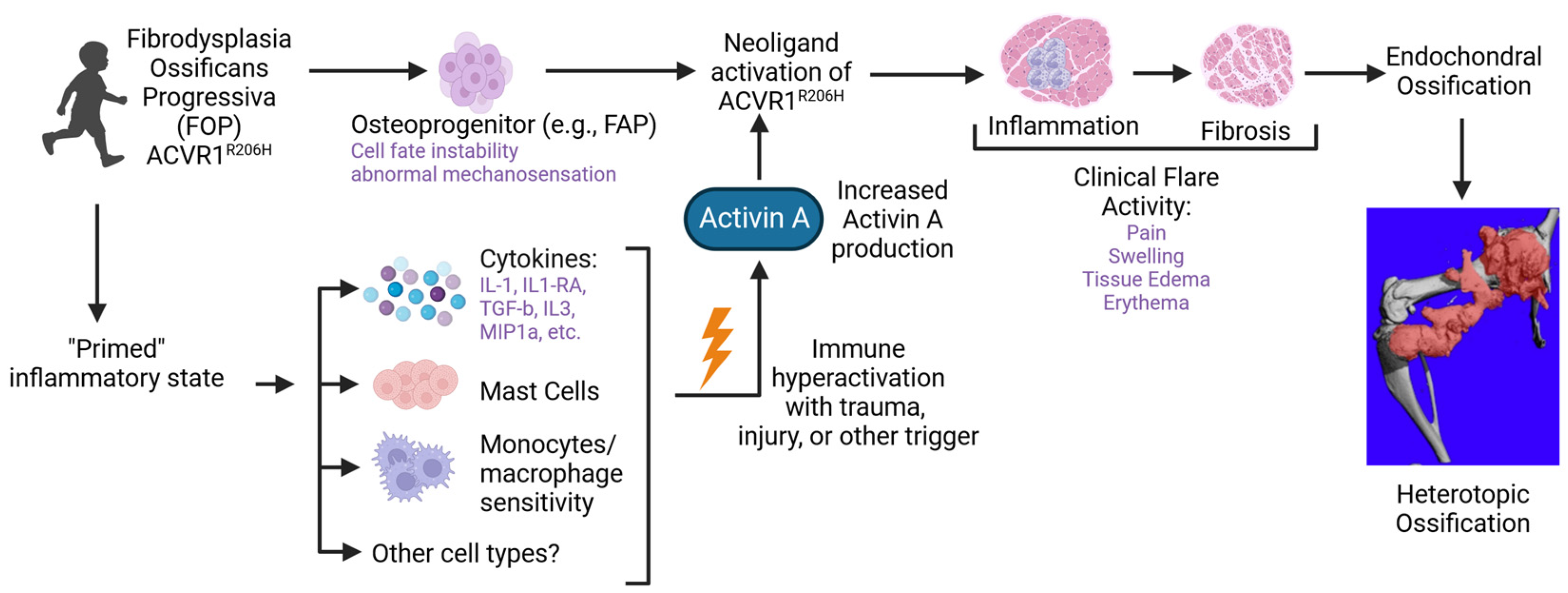 Biomolecules 14 00357 g001