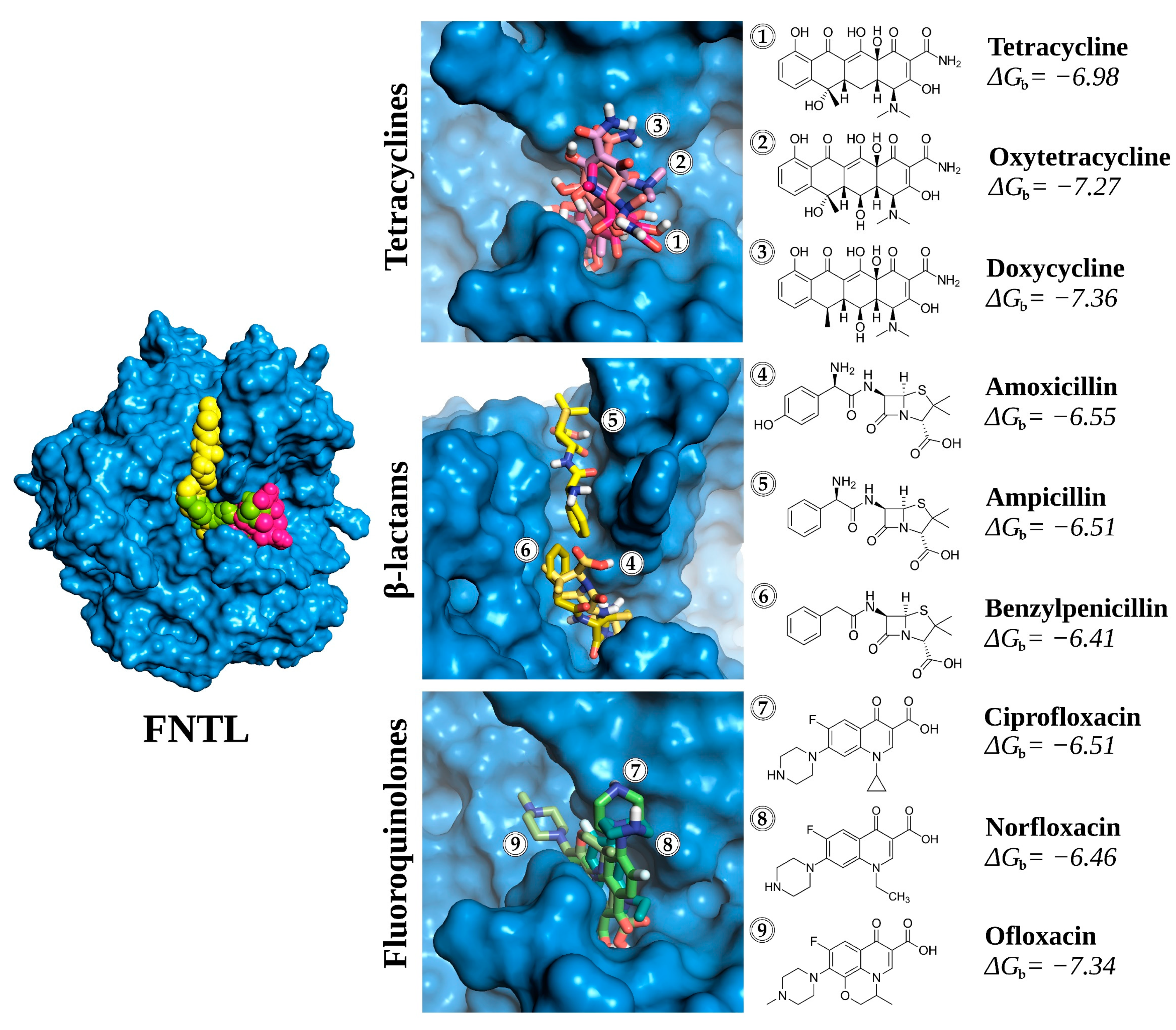 Biomolecules 14 00369 g003