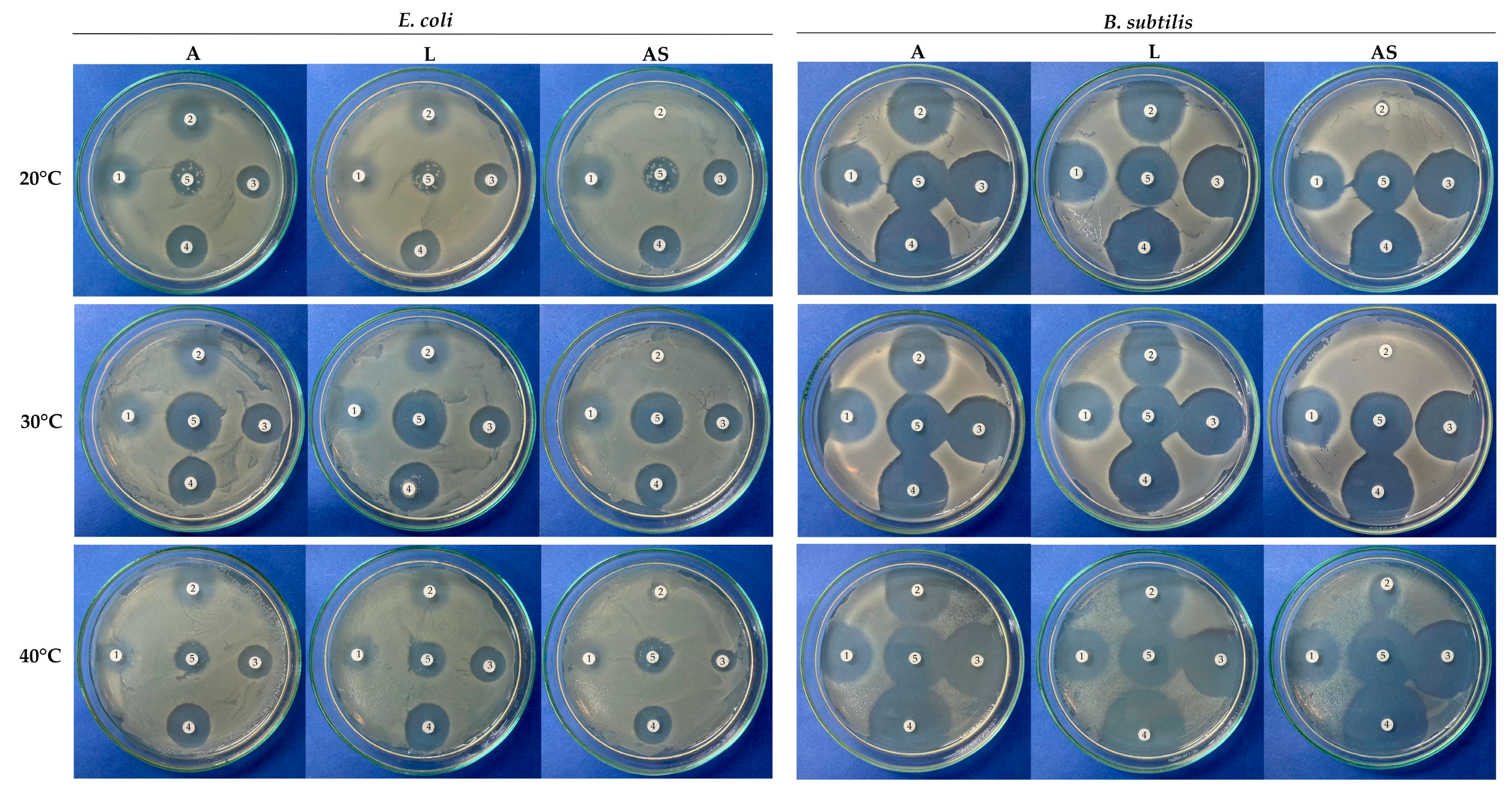 Biomolecules 14 00369 g006