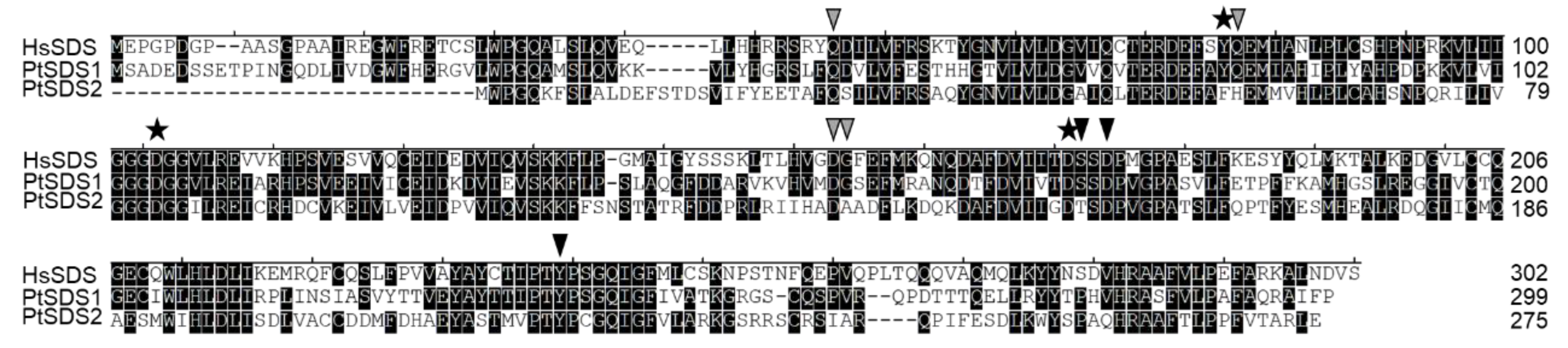Biomolecules 14 00372 g003