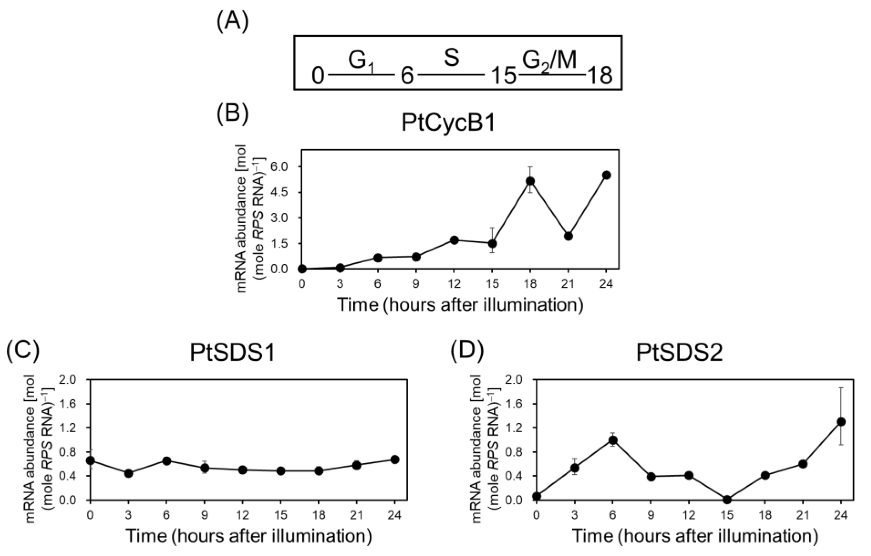 Biomolecules 14 00372 g004