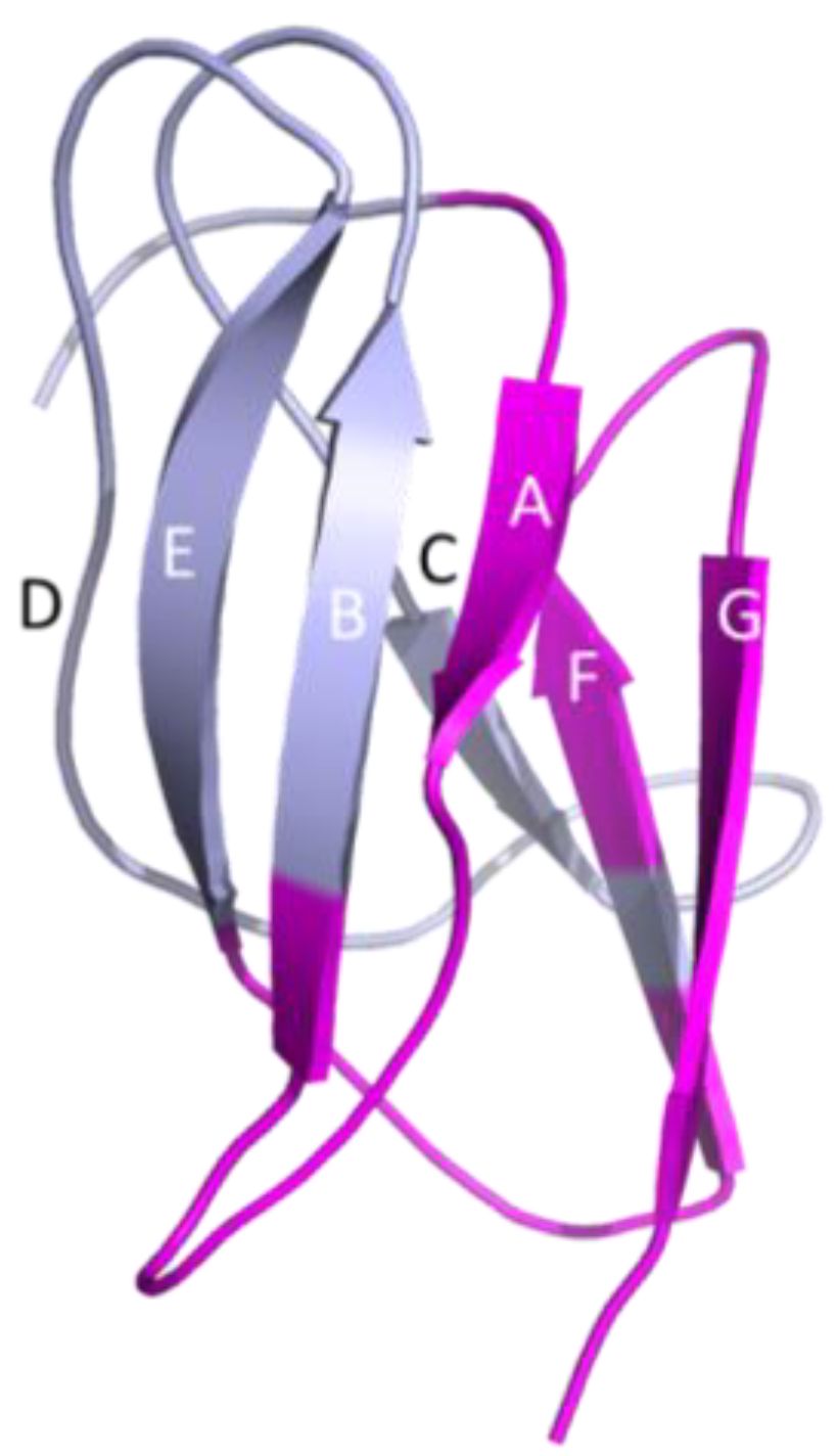 Biomolecules 14 00374 g007 Biomolecules 14 00374 g007