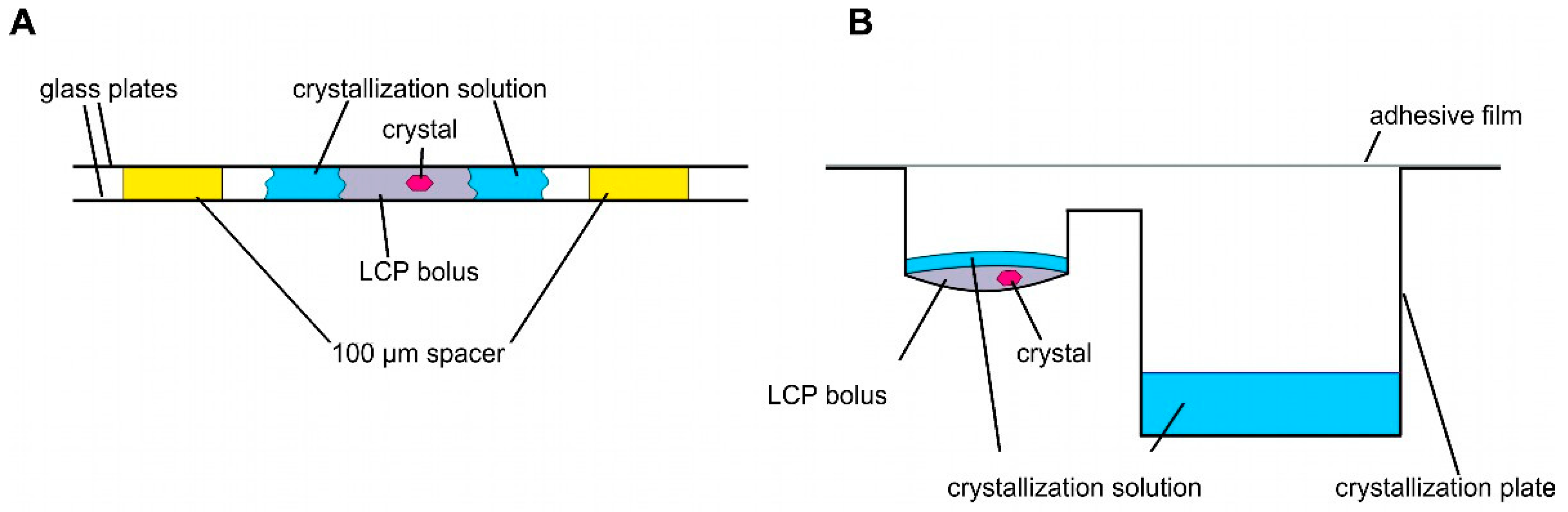 Biomolecules 14 00375 g003