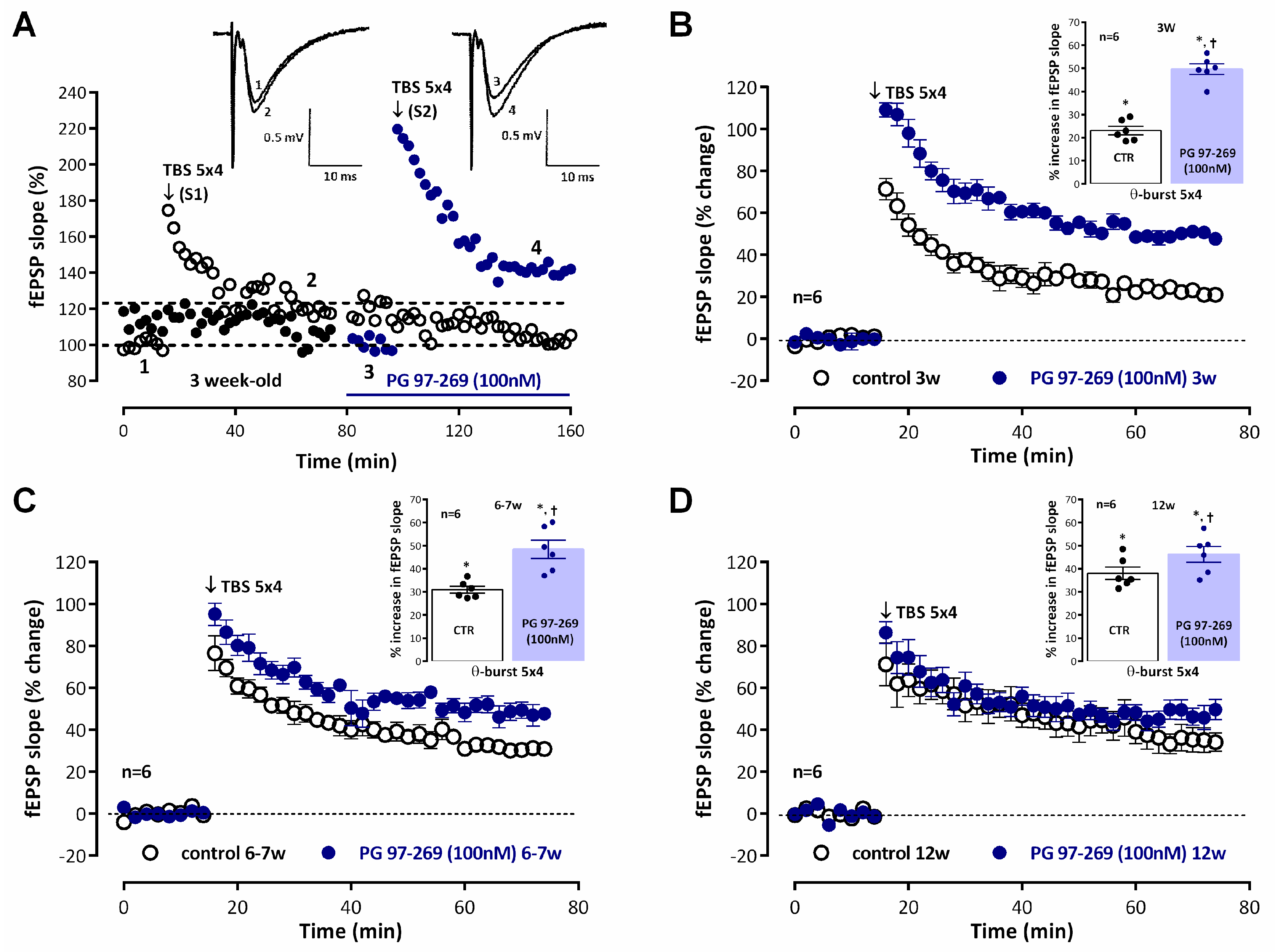 Biomolecules 14 00379 g001