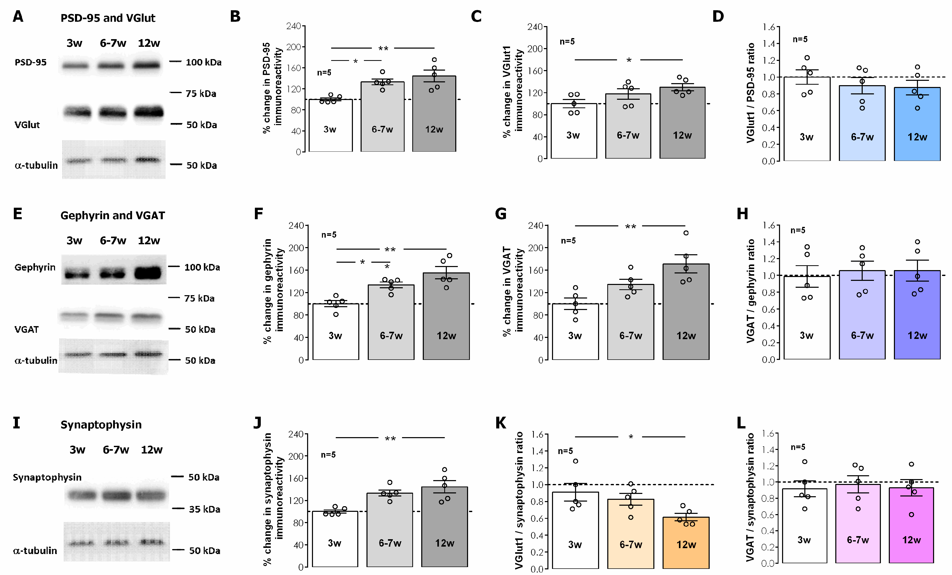 Biomolecules 14 00379 g004