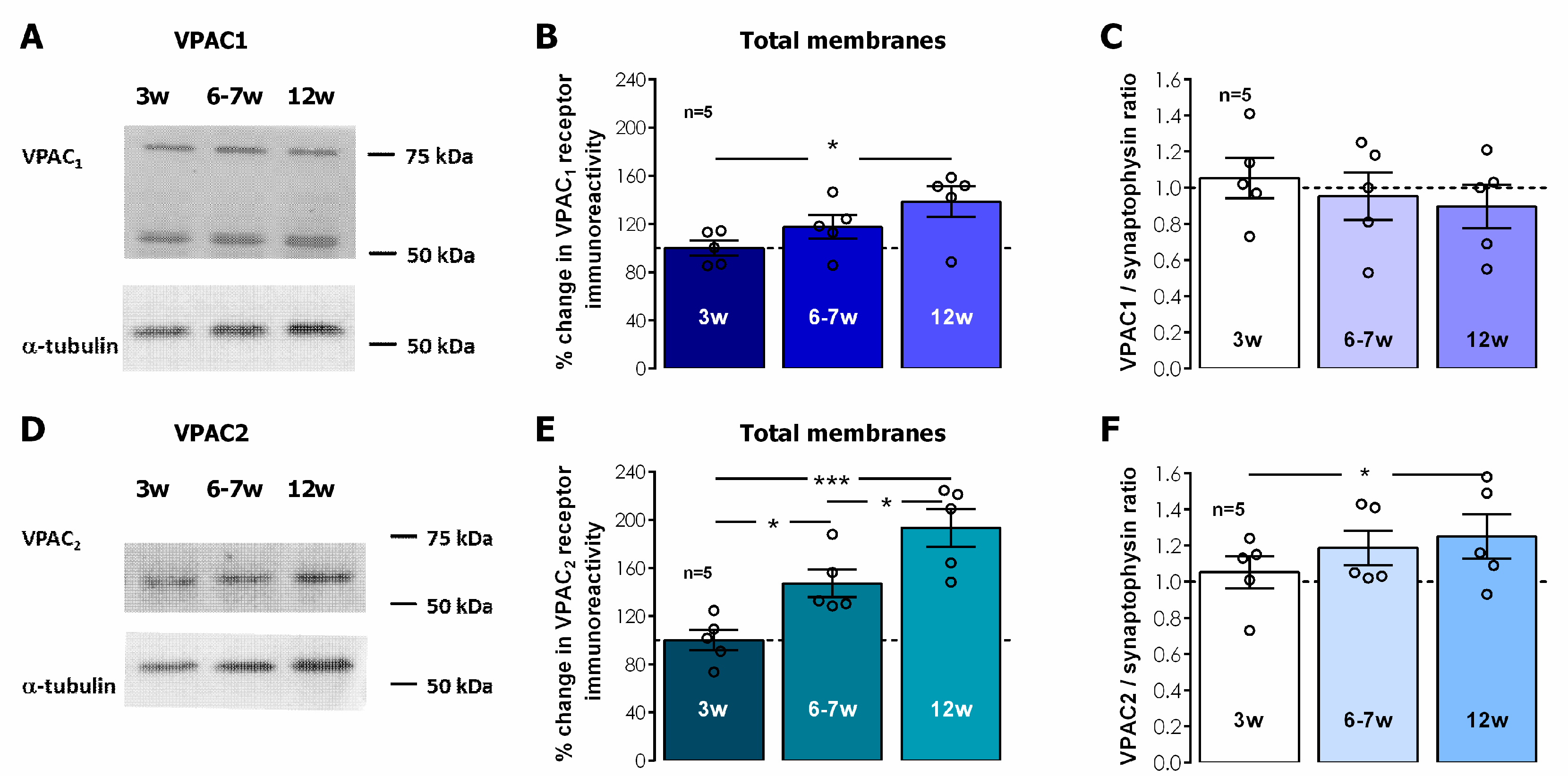 Biomolecules 14 00379 g005