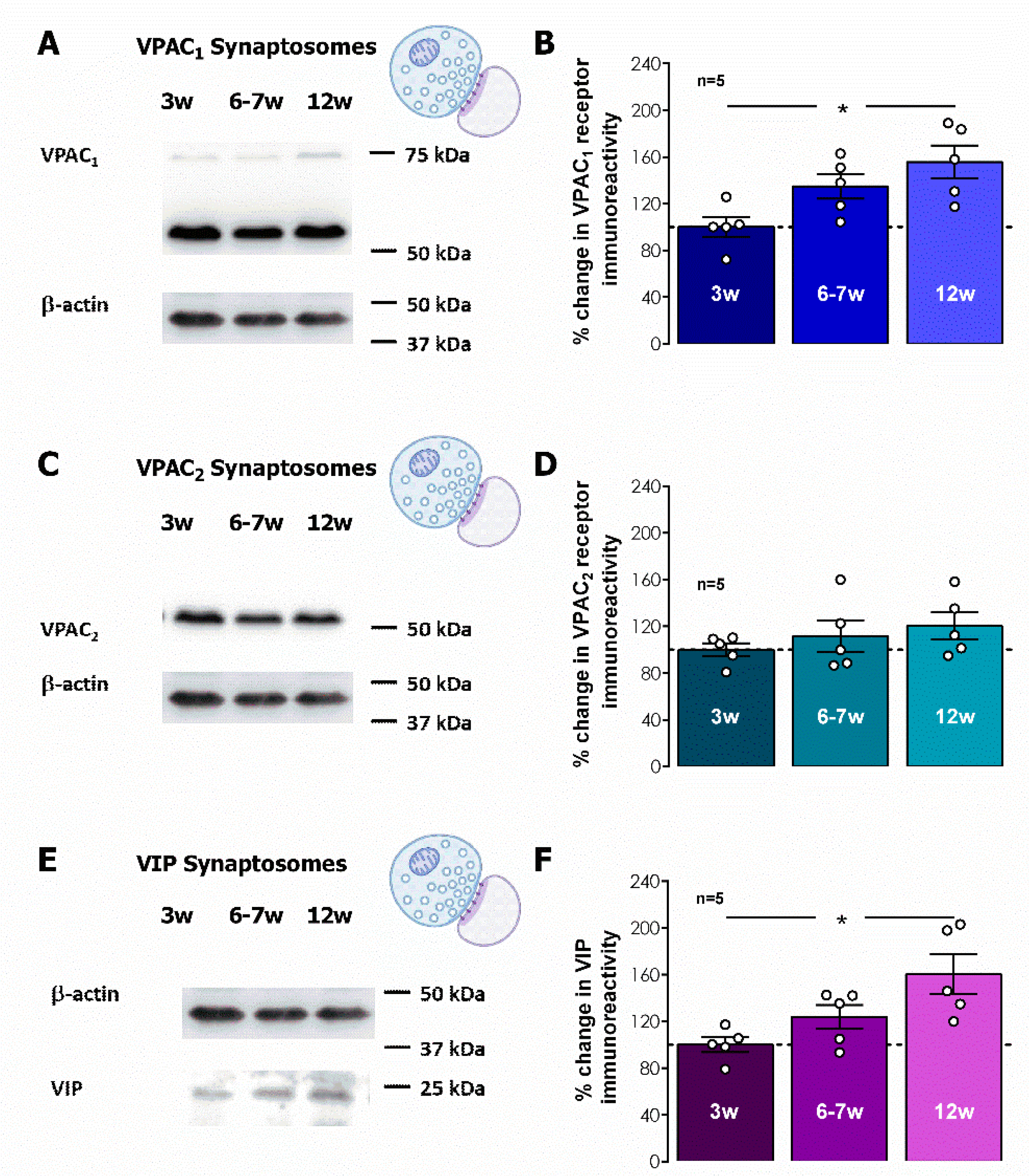 Biomolecules 14 00379 g006