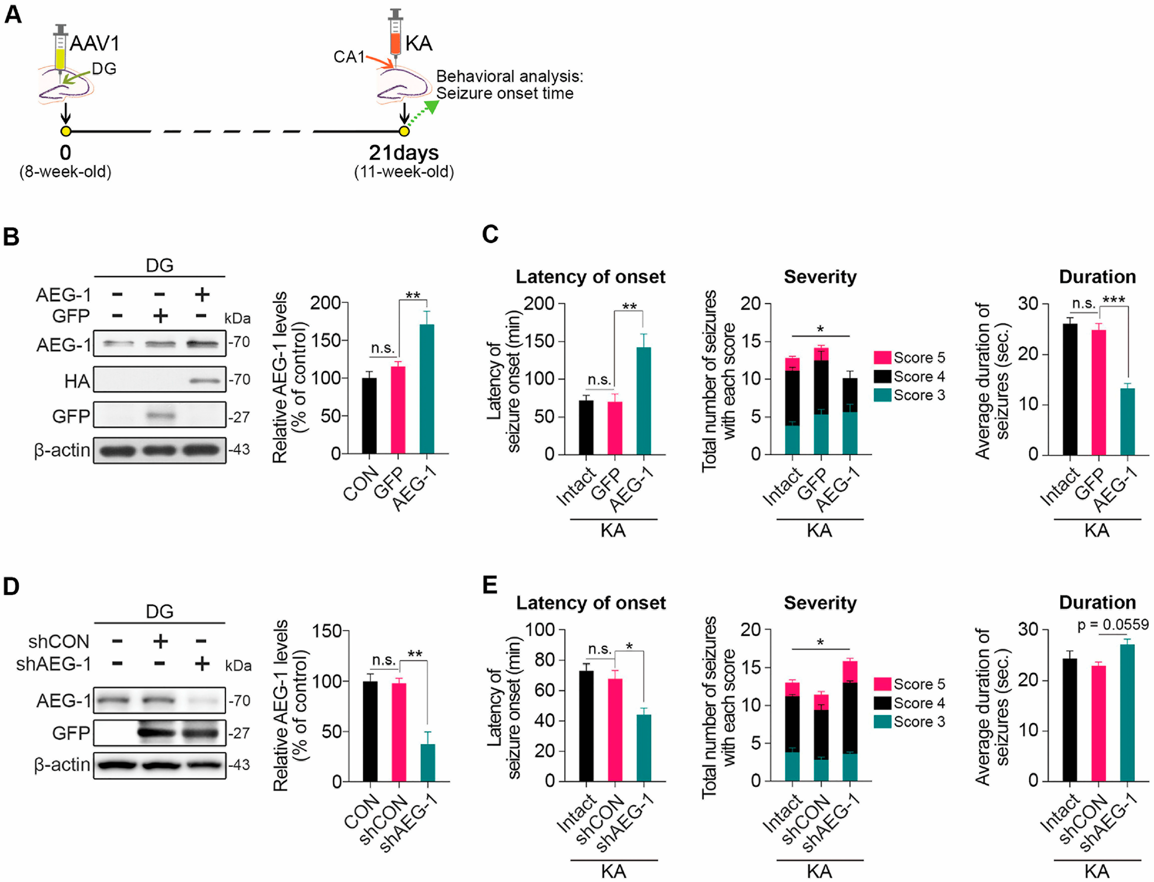 Biomolecules 14 00380 g002