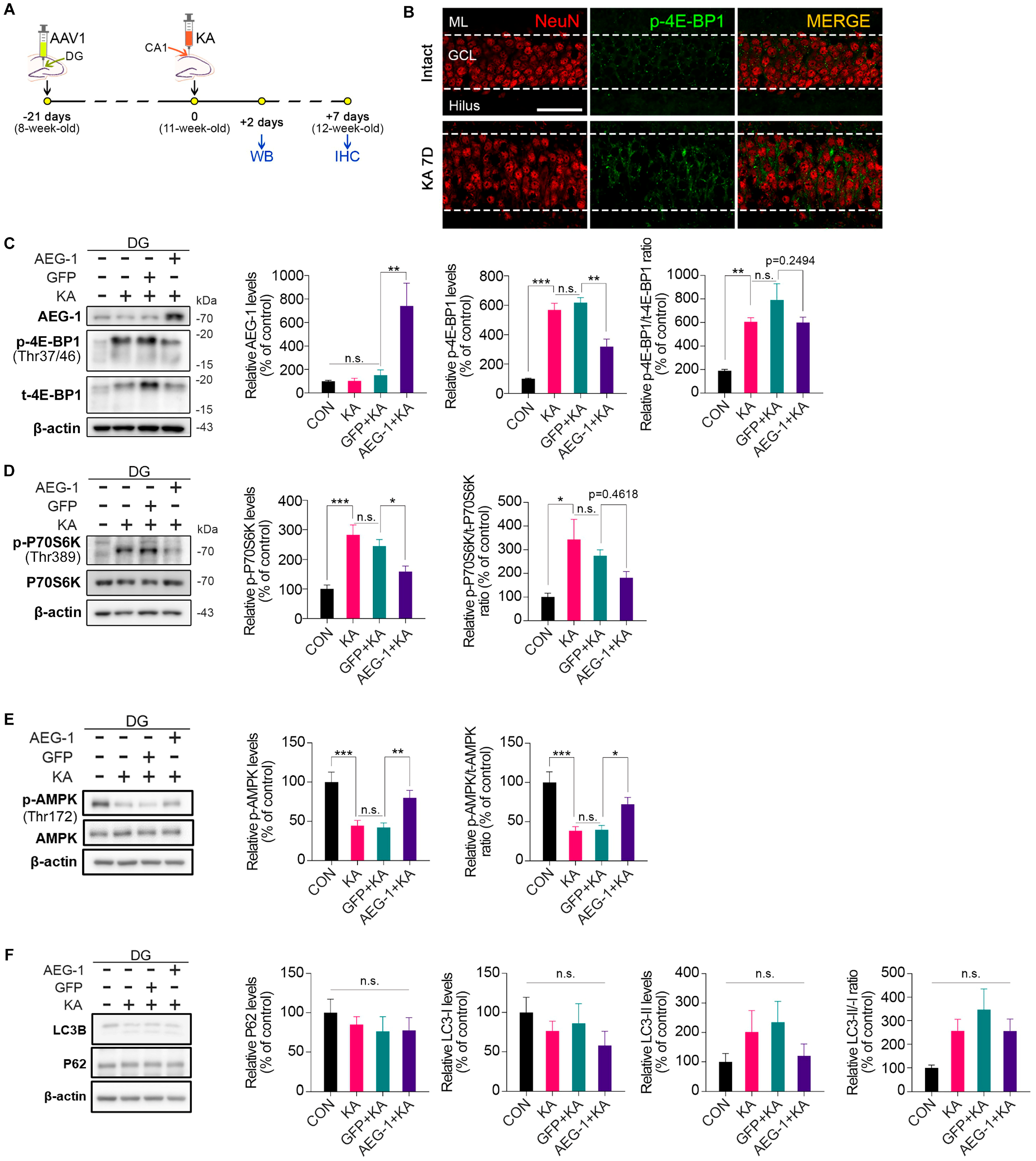Biomolecules 14 00380 g003