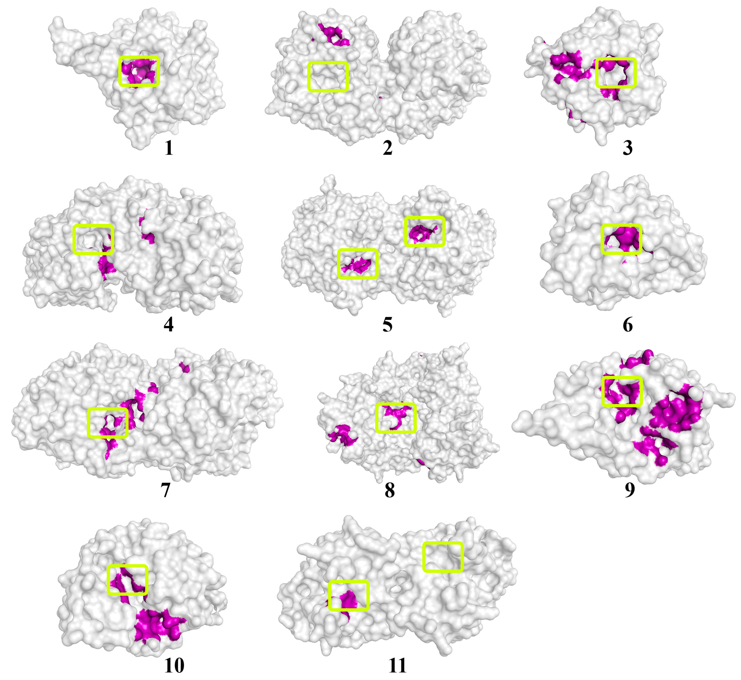 Biomolecules 14 00383 g003