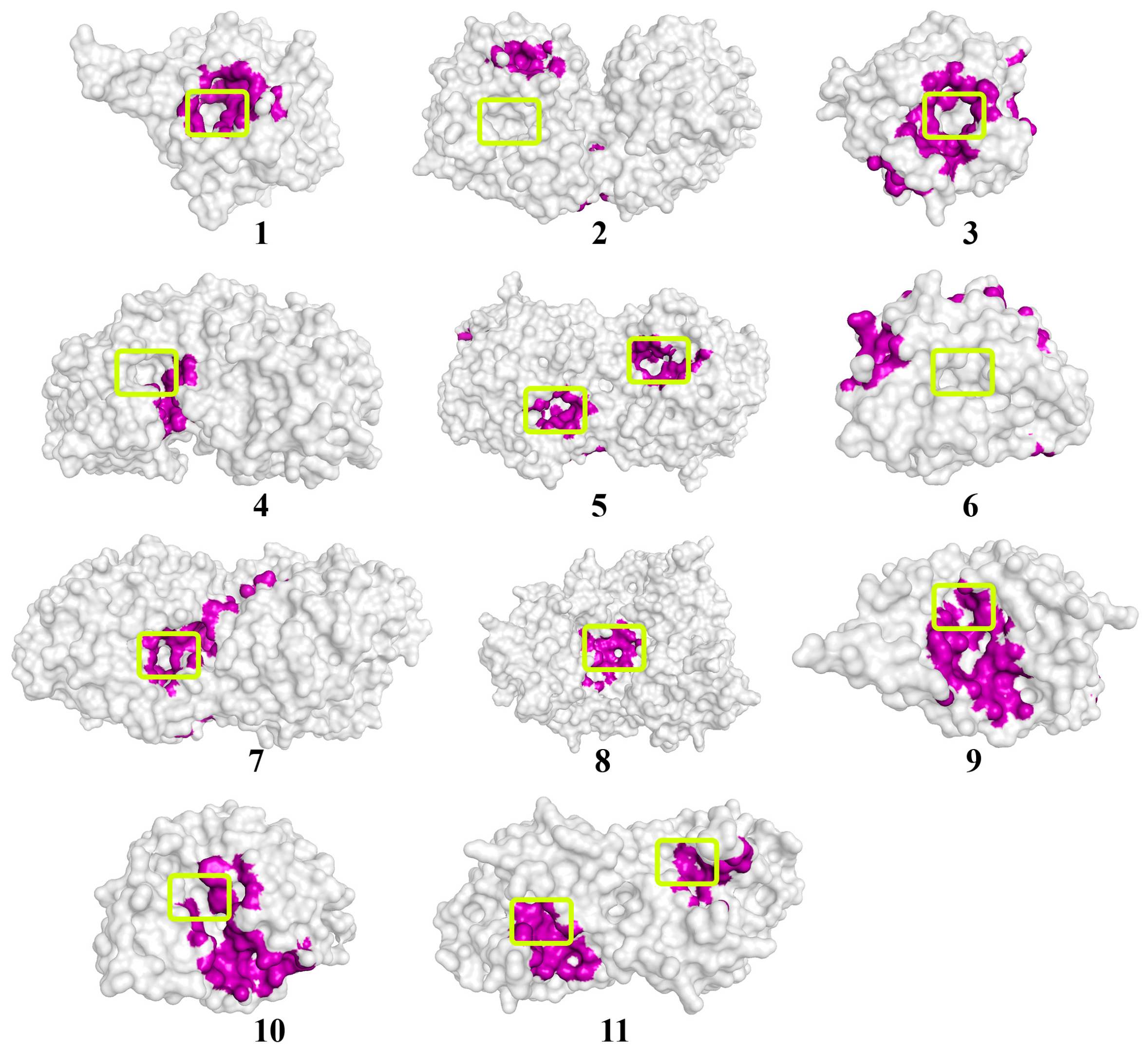 Biomolecules 14 00383 g004