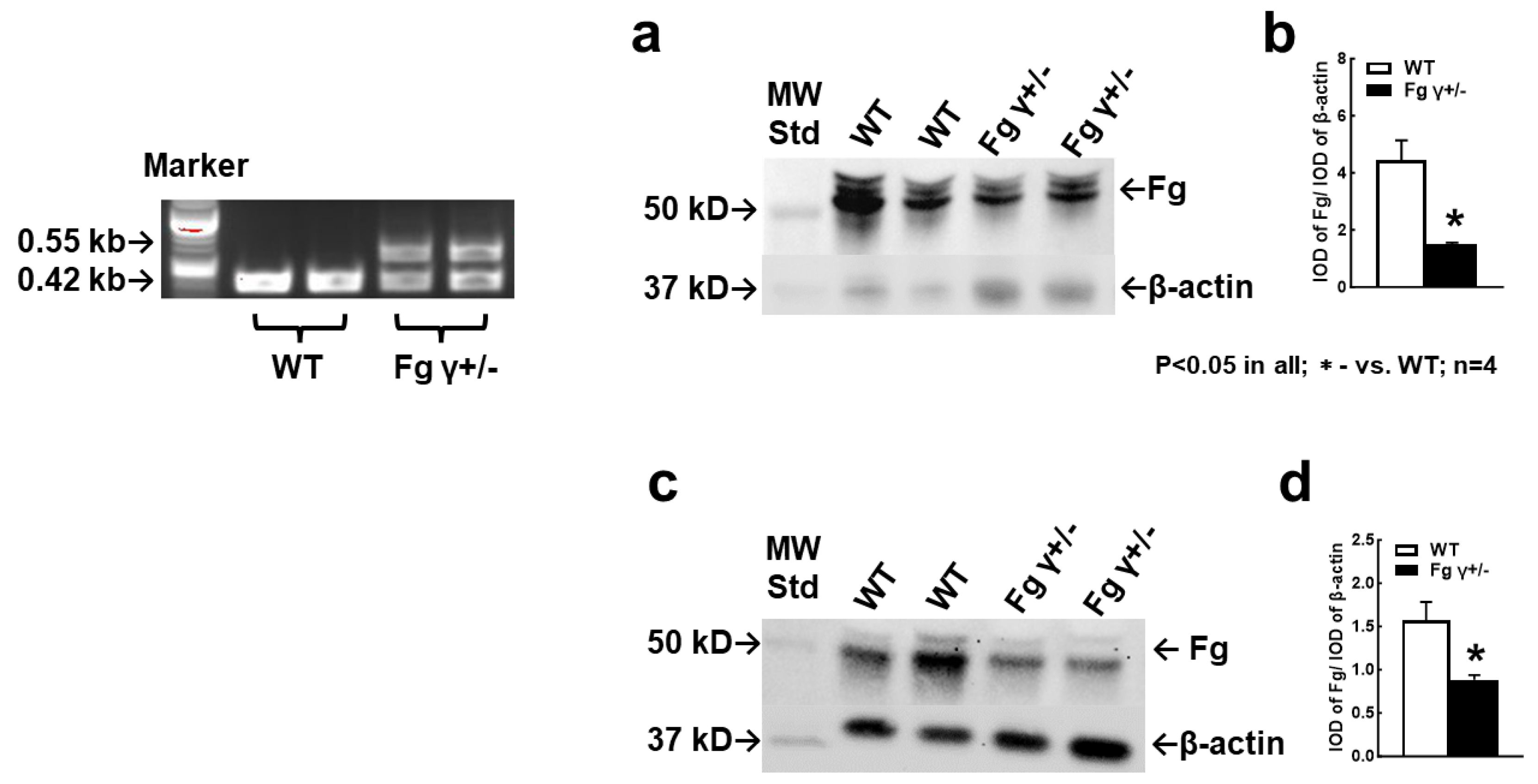 Biomolecules 14 00385 g001