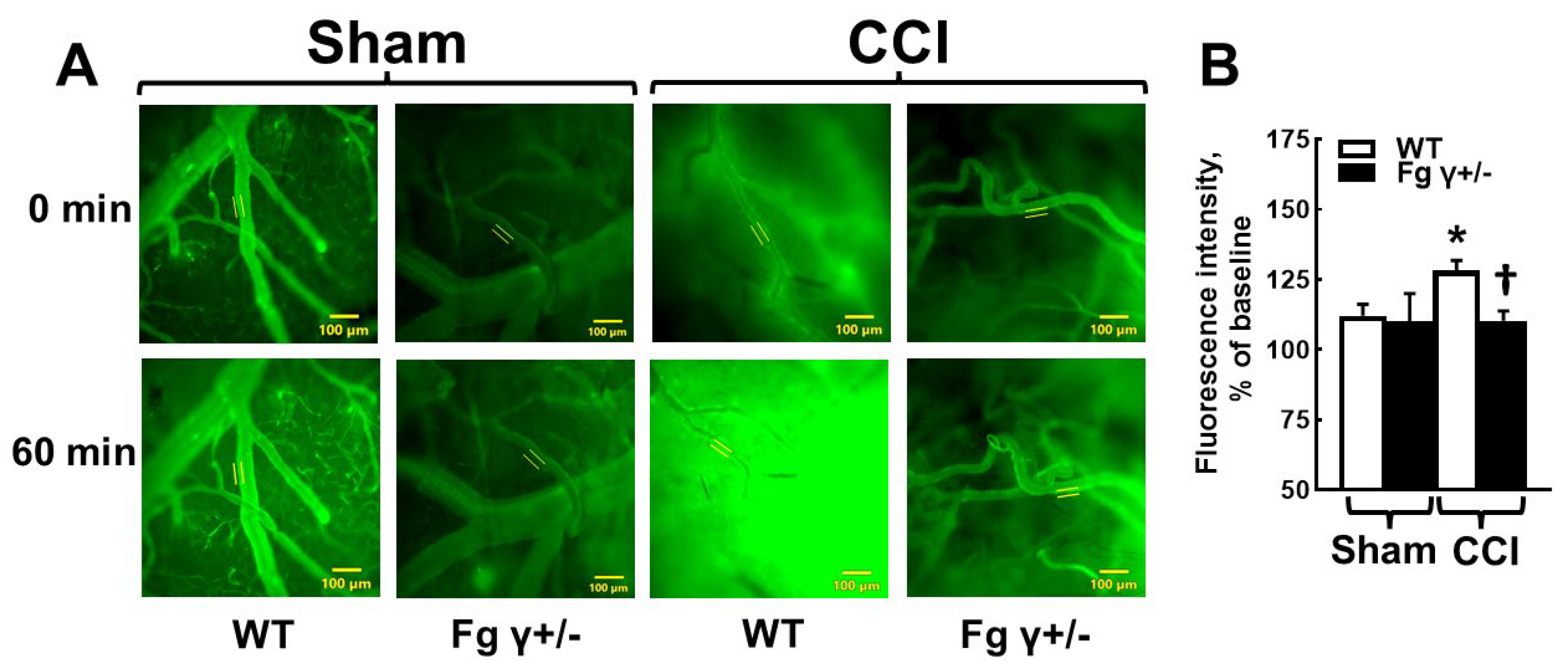 Biomolecules 14 00385 g002