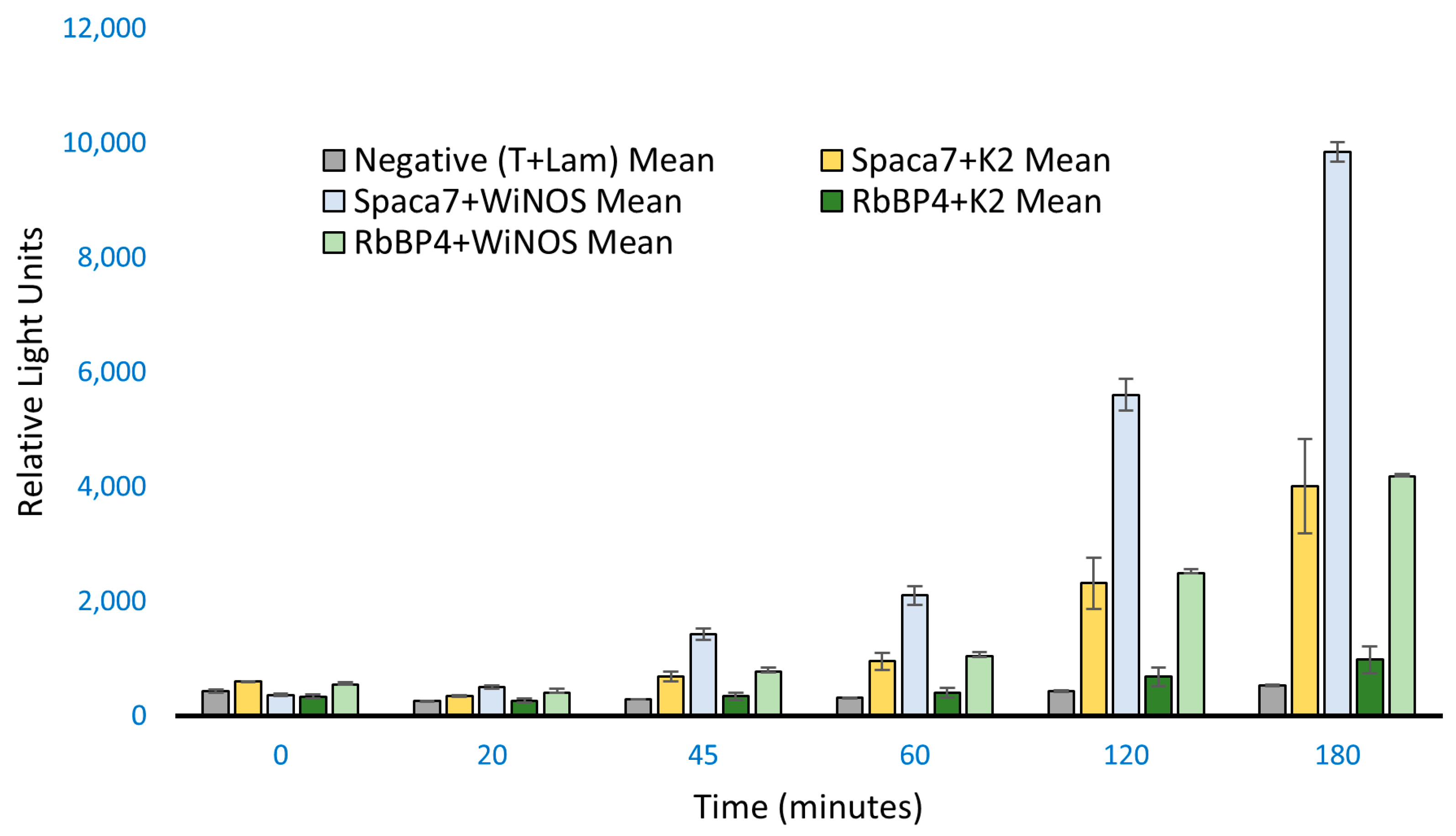 Biomolecules 14 00388 g004
