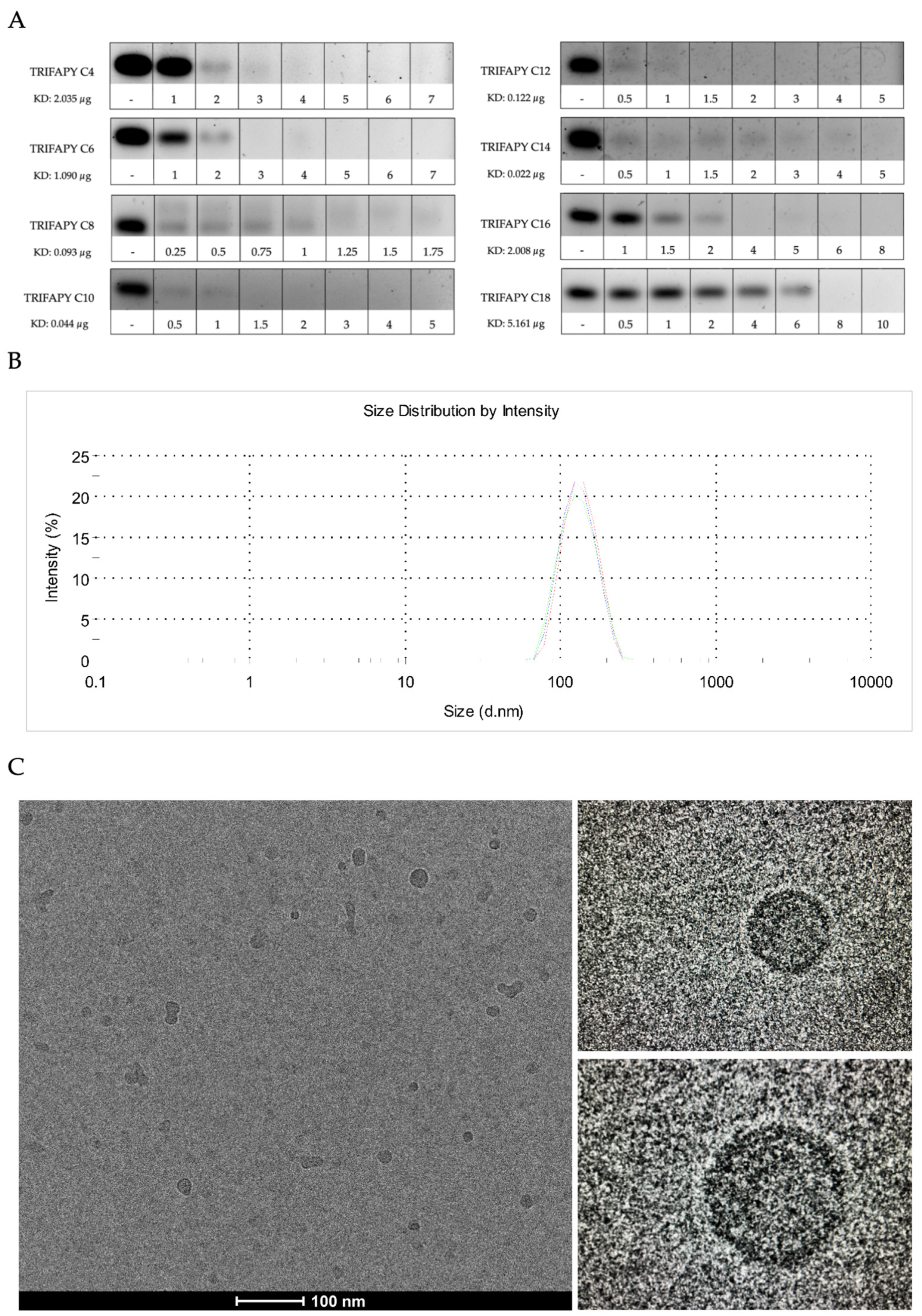 Biomolecules 14 00390 g003