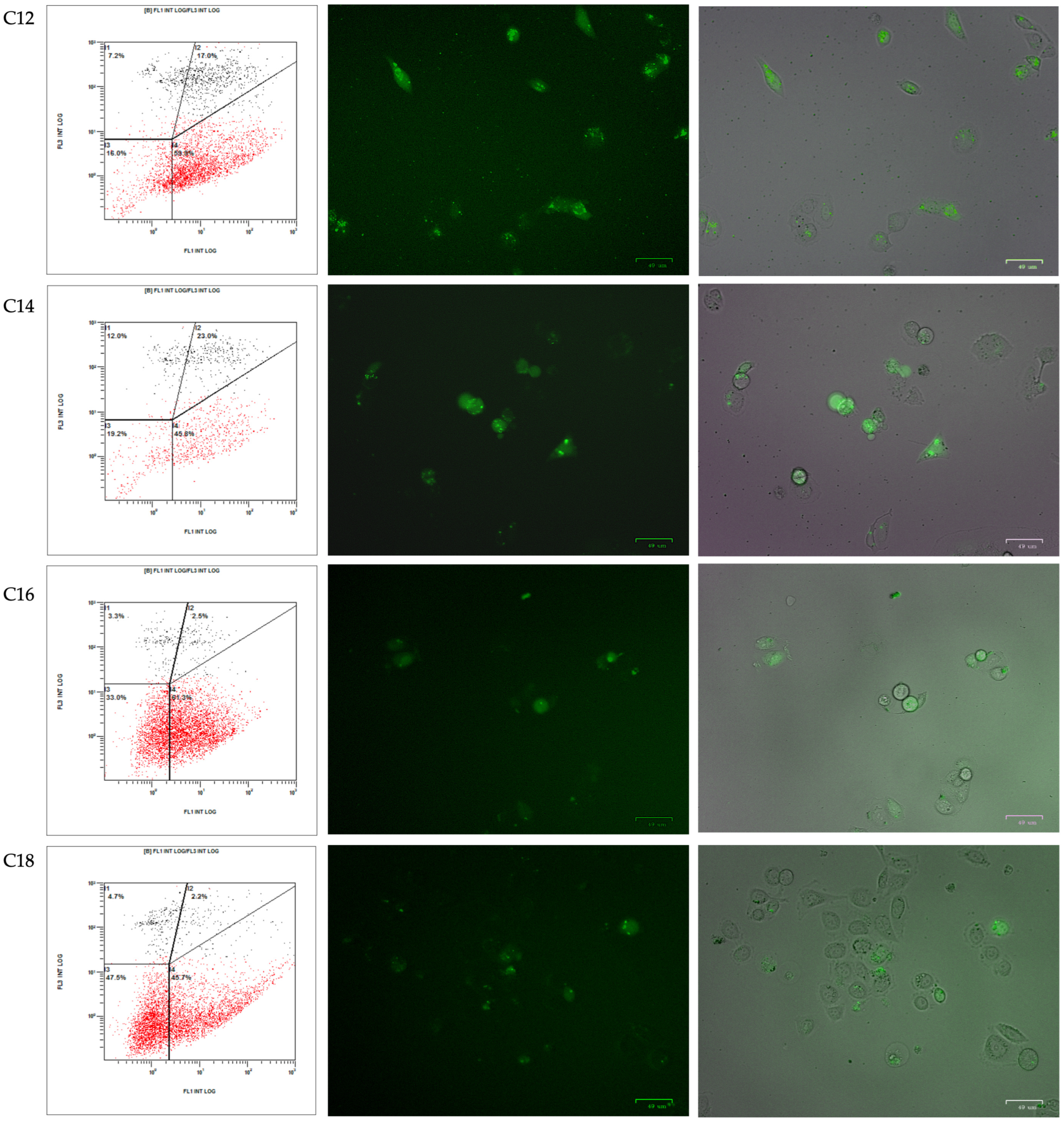 Biomolecules 14 00390 g005