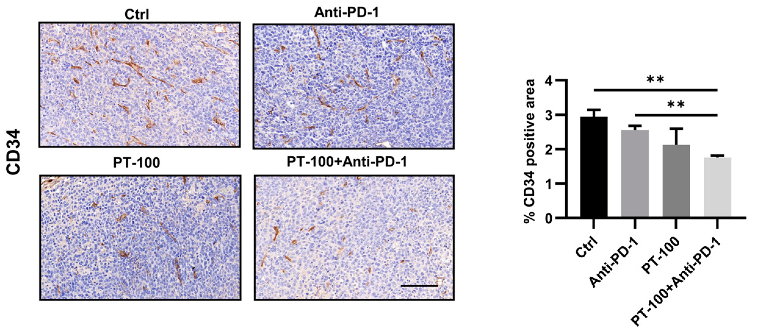 Biomolecules 14 00391 g006