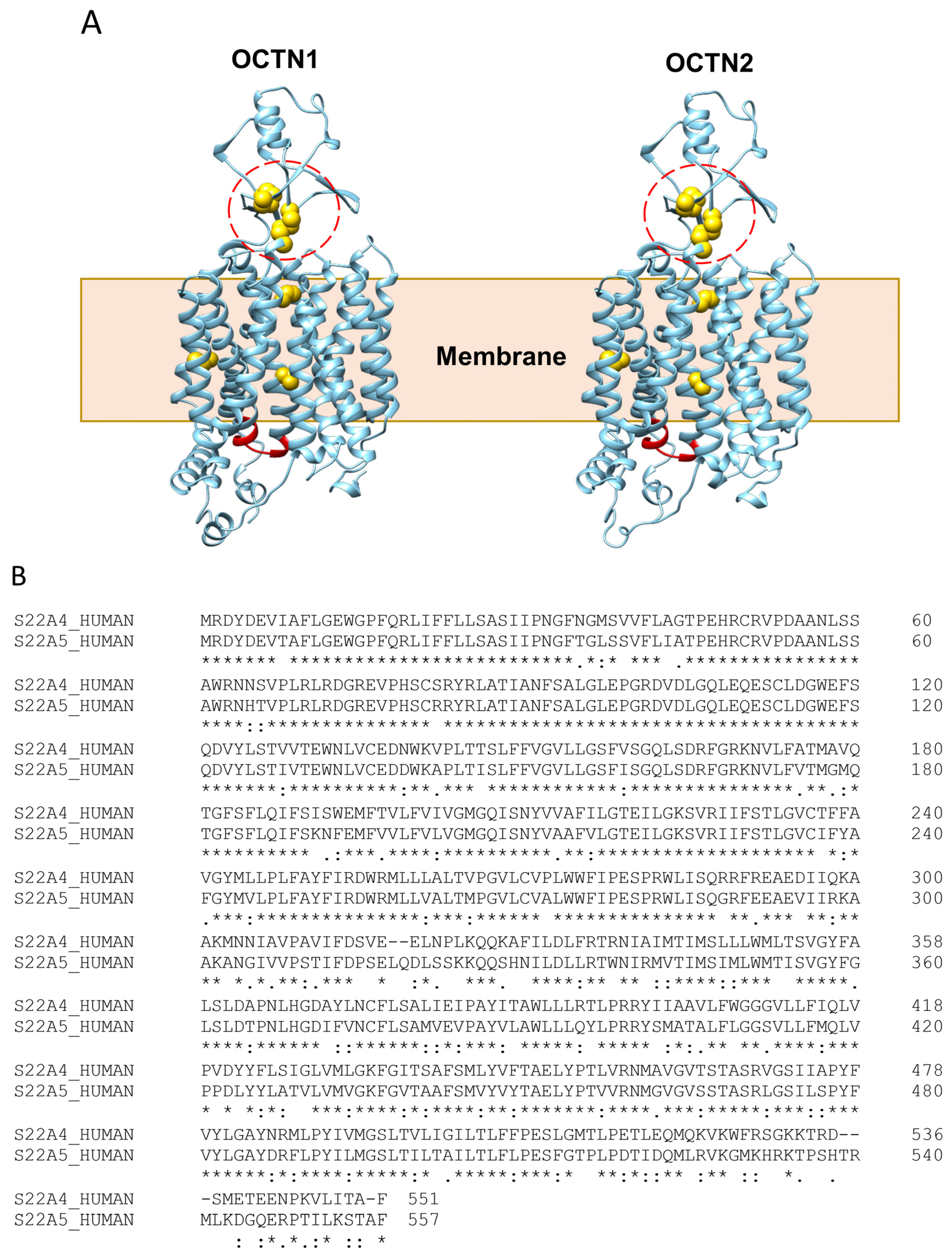 Biomolecules 14 00392 g002