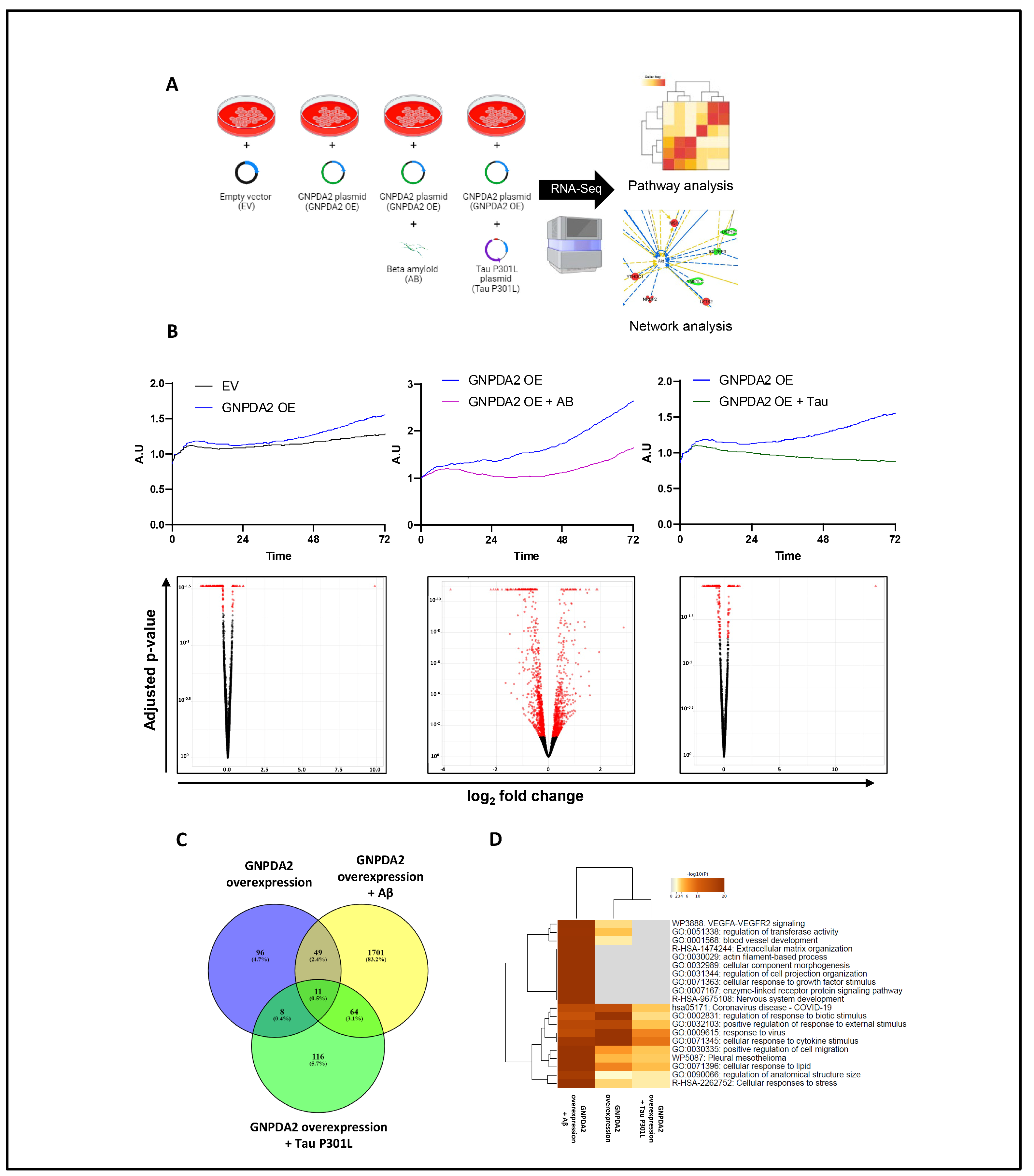 Biomolecules 14 00394 g002
