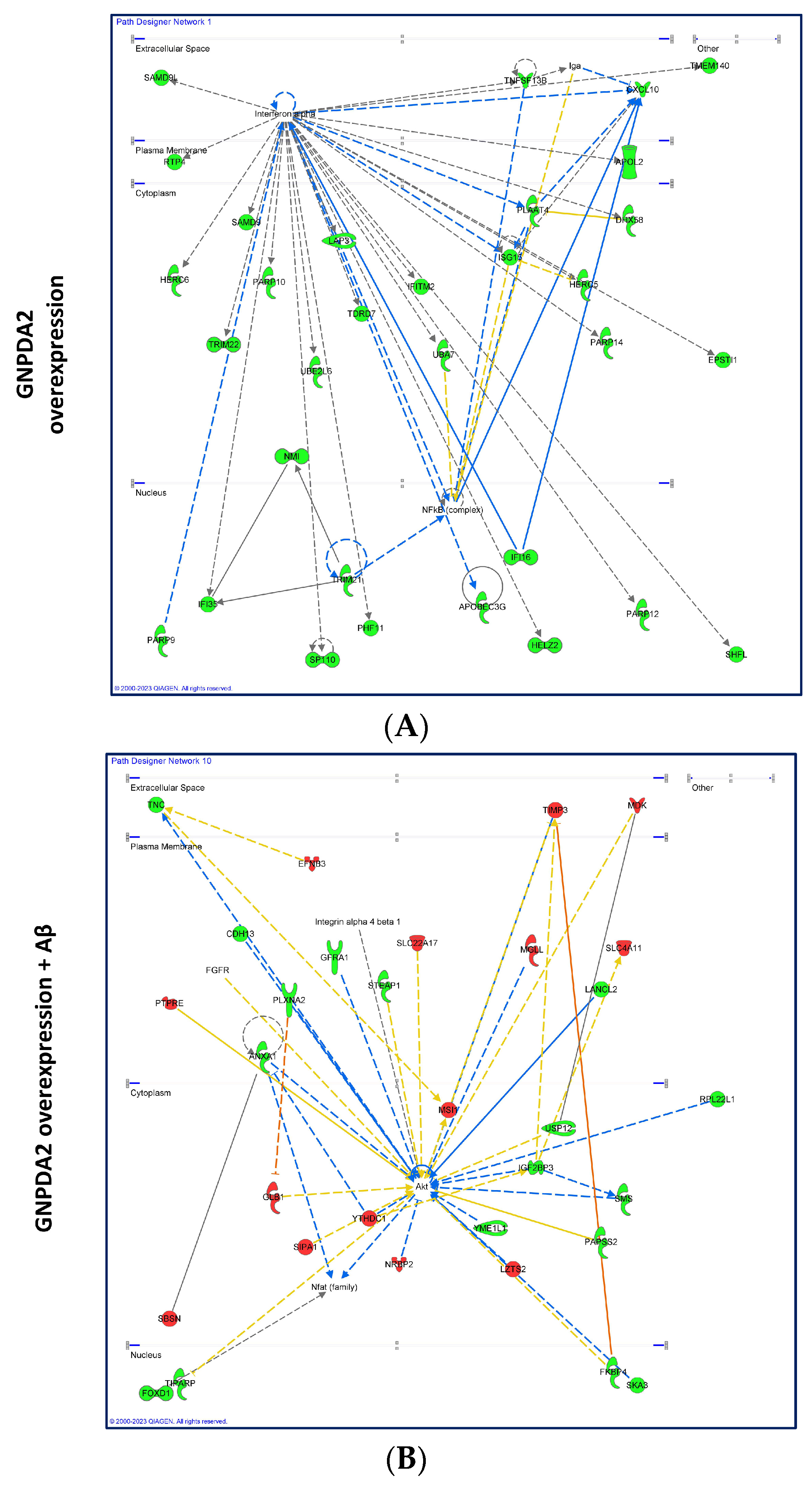 Biomolecules 14 00394 g003a