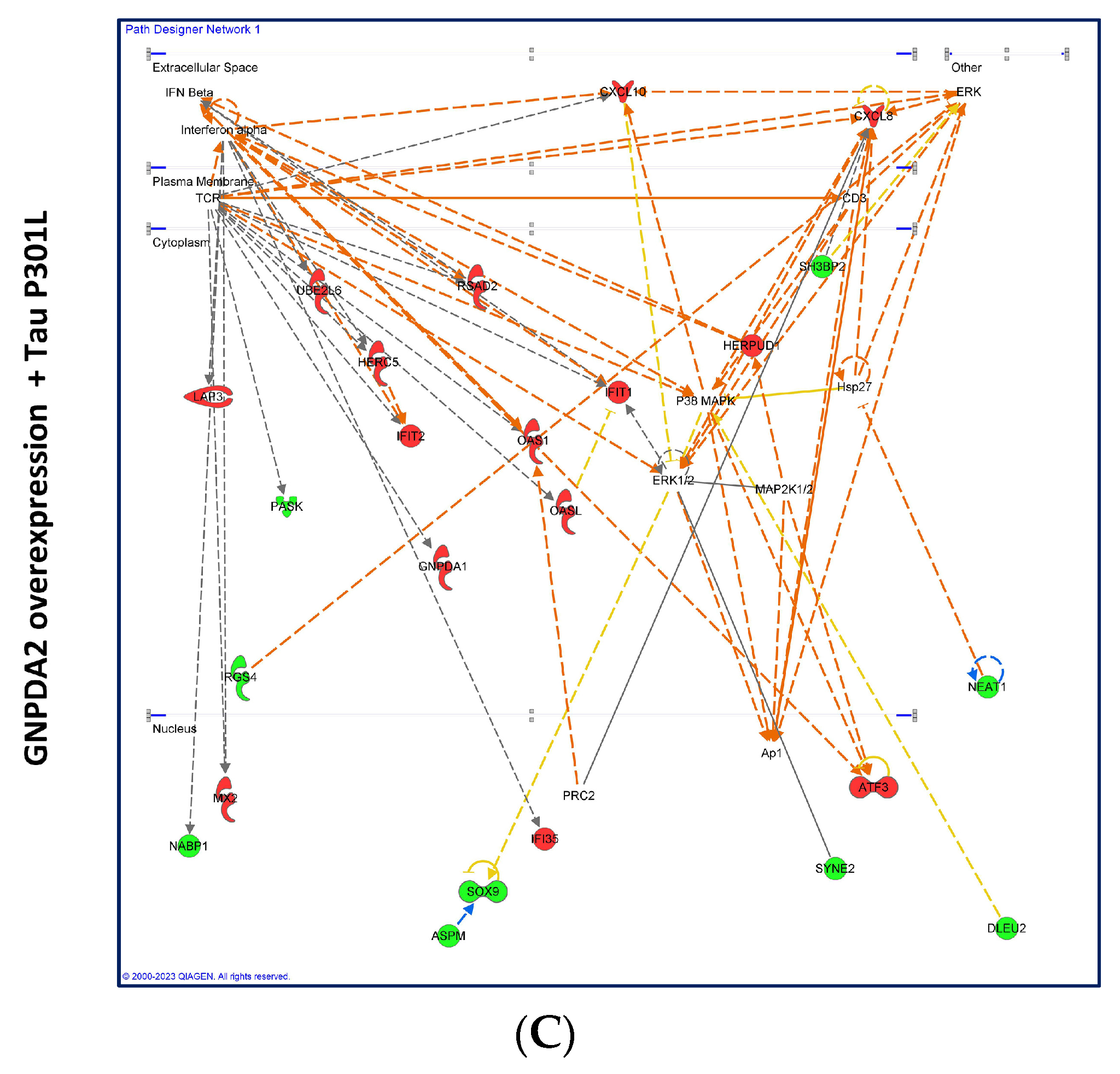 Biomolecules 14 00394 g003b