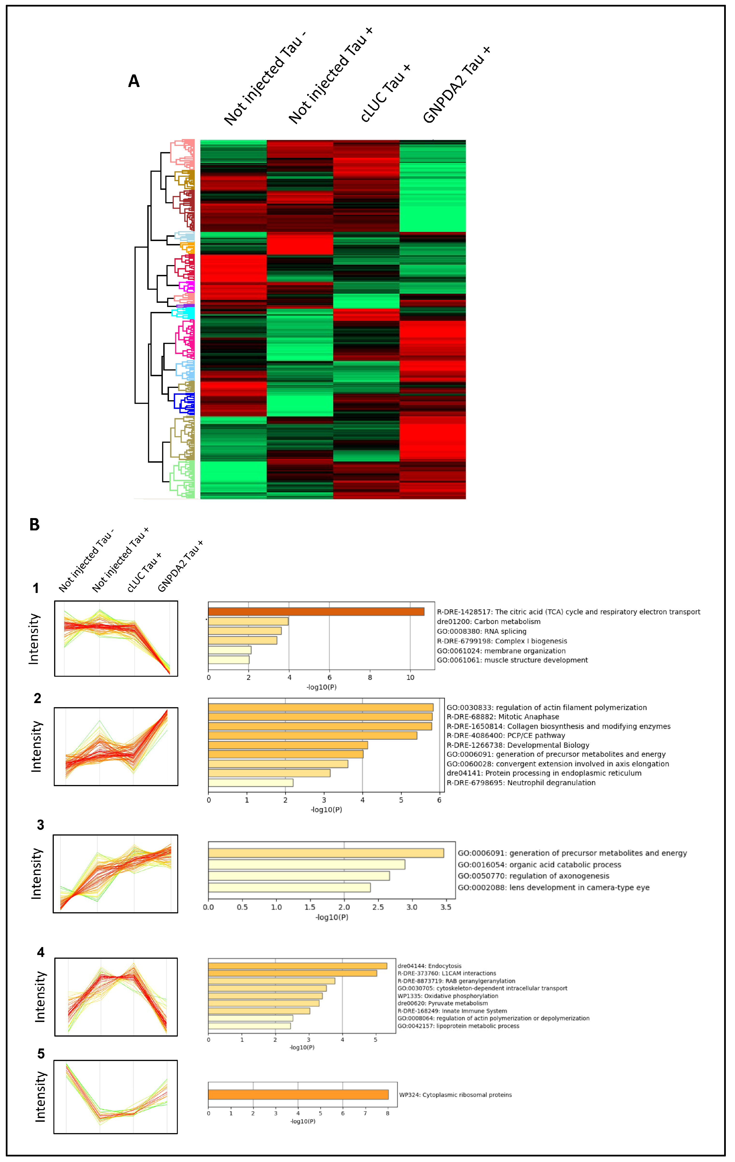 Biomolecules 14 00394 g006