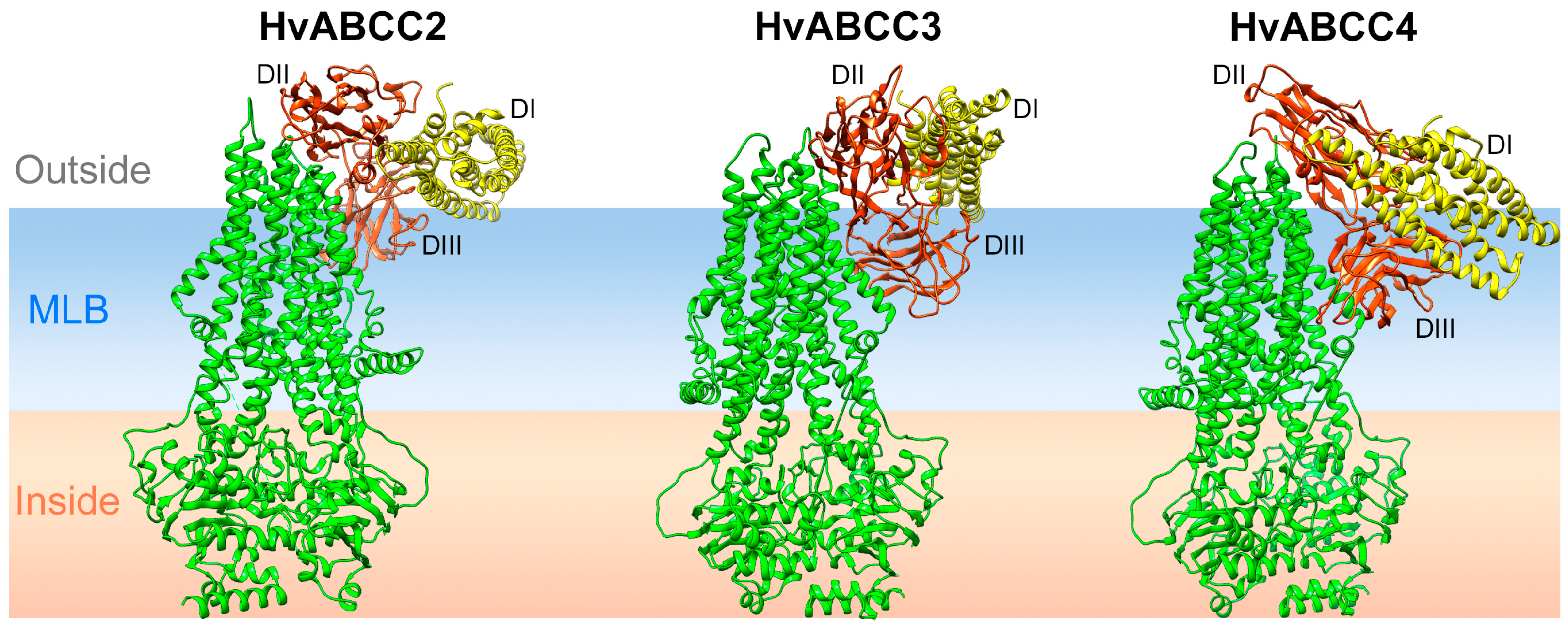 Biomolecules 14 00397 g005