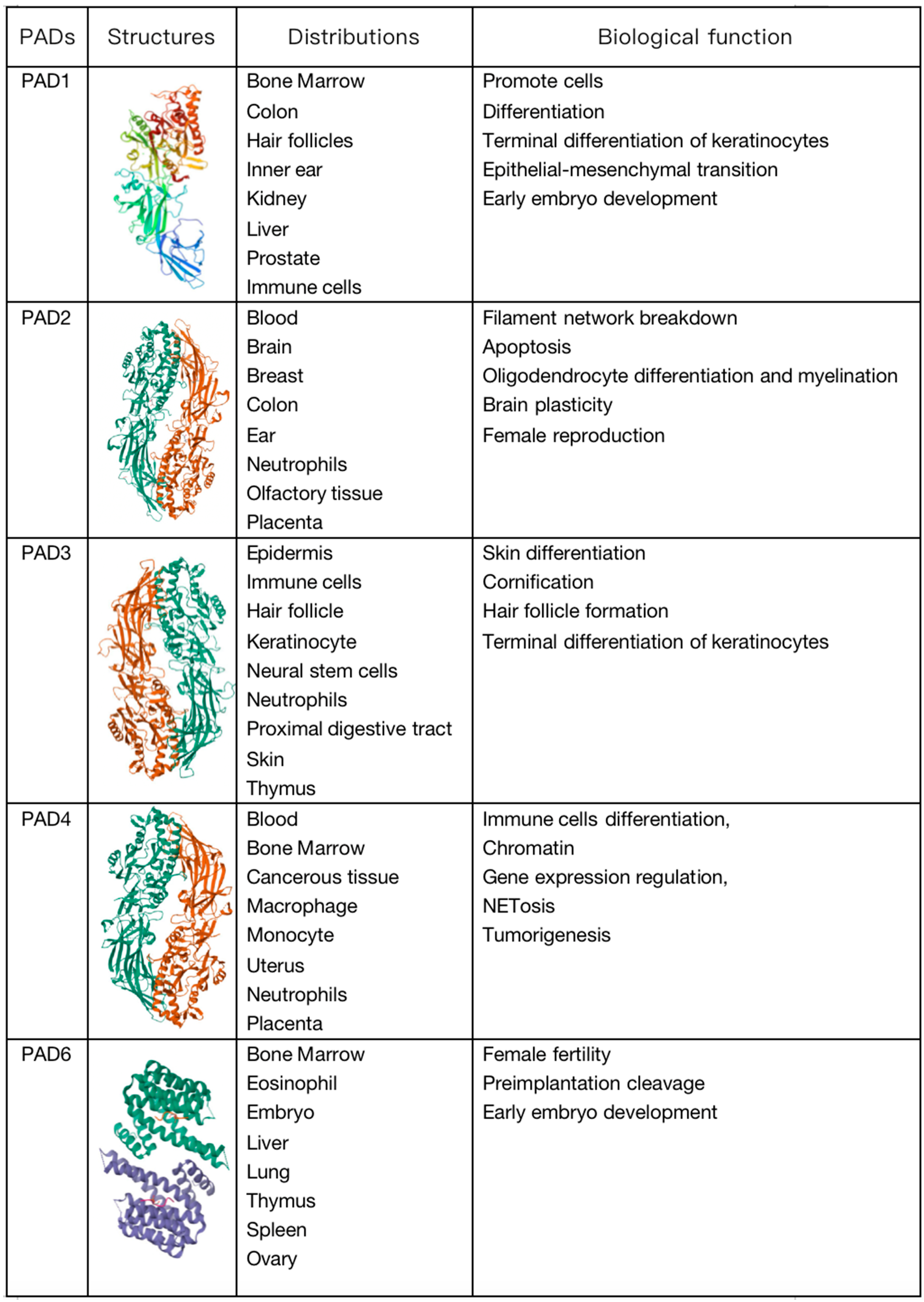 Biomolecules 14 00400 g001 Biomolecules 14 00400 g001