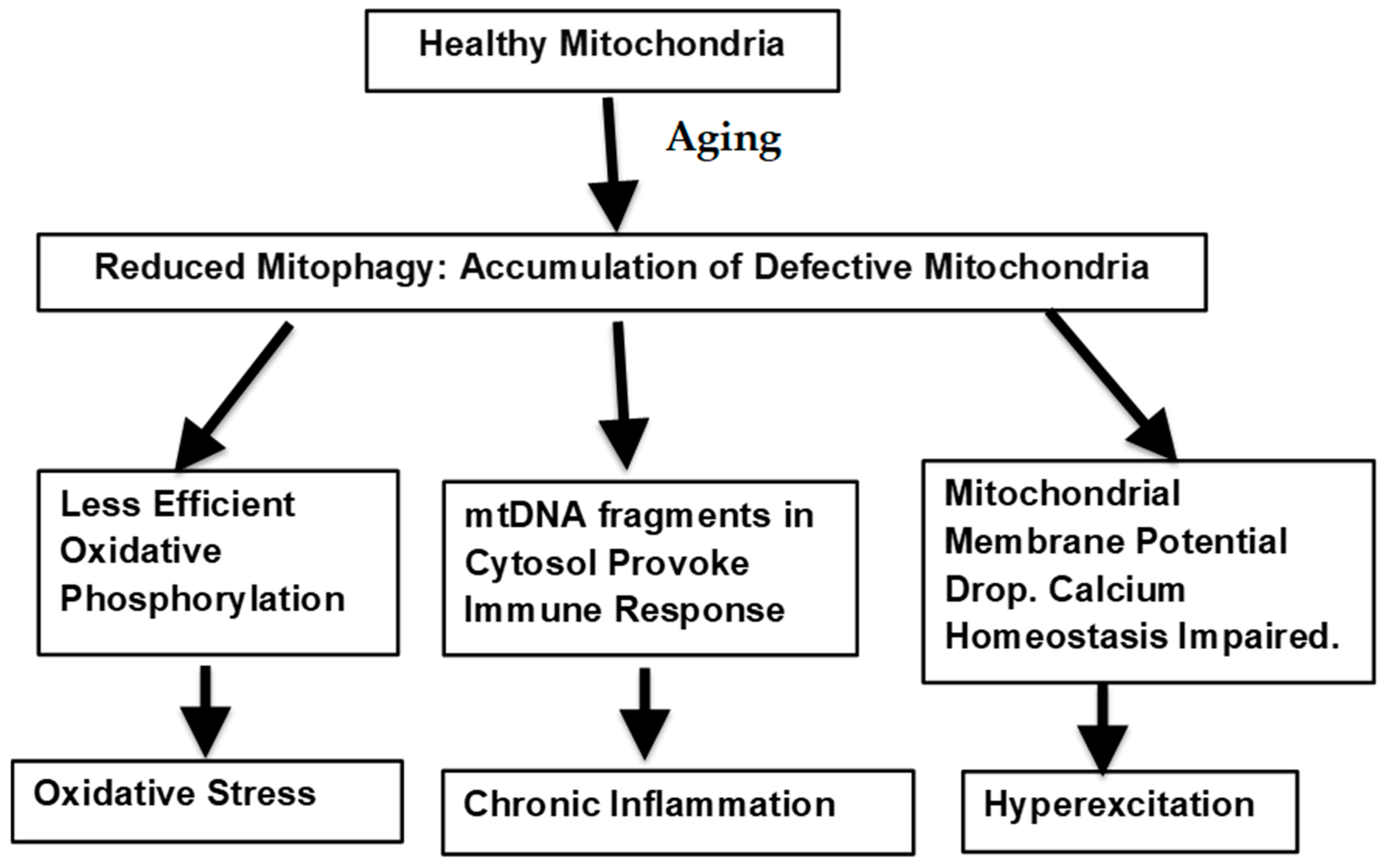 Biomolecules 14 00402 g001