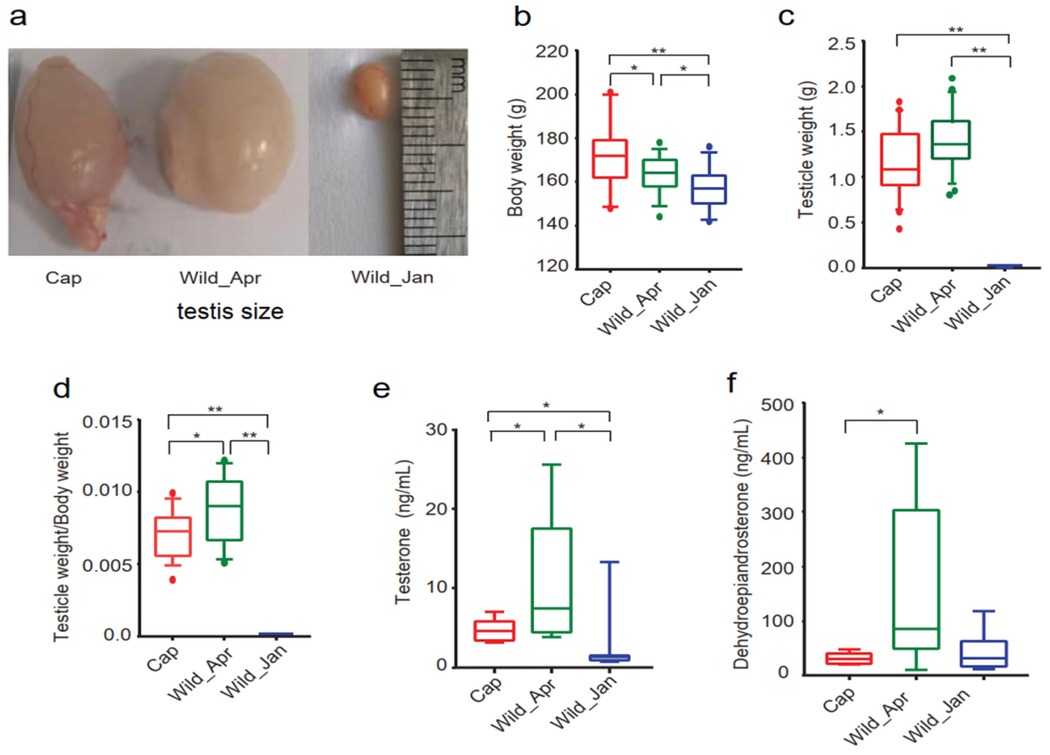 Biomolecules 14 00403 g001