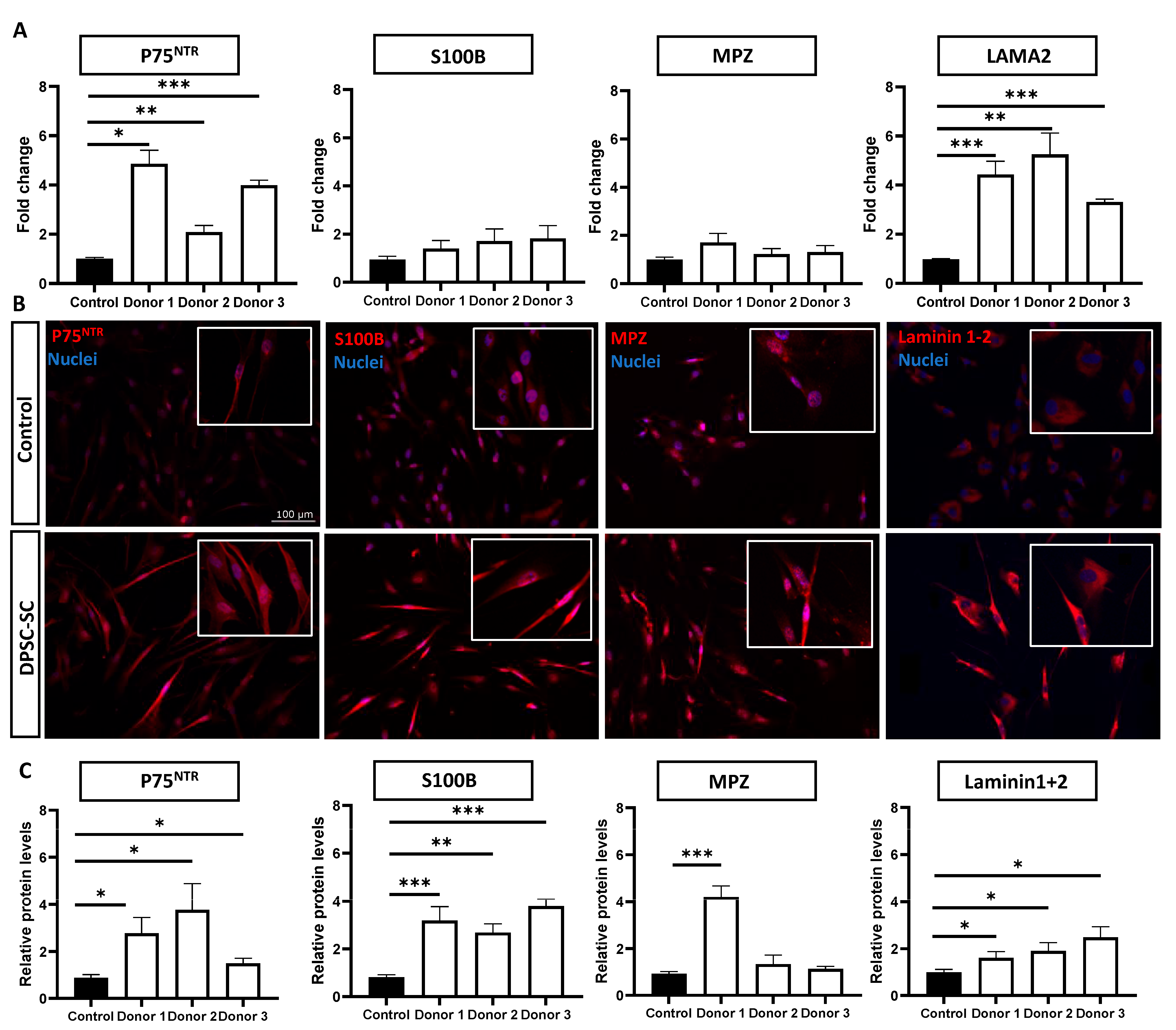 Biomolecules 14 00405 g001