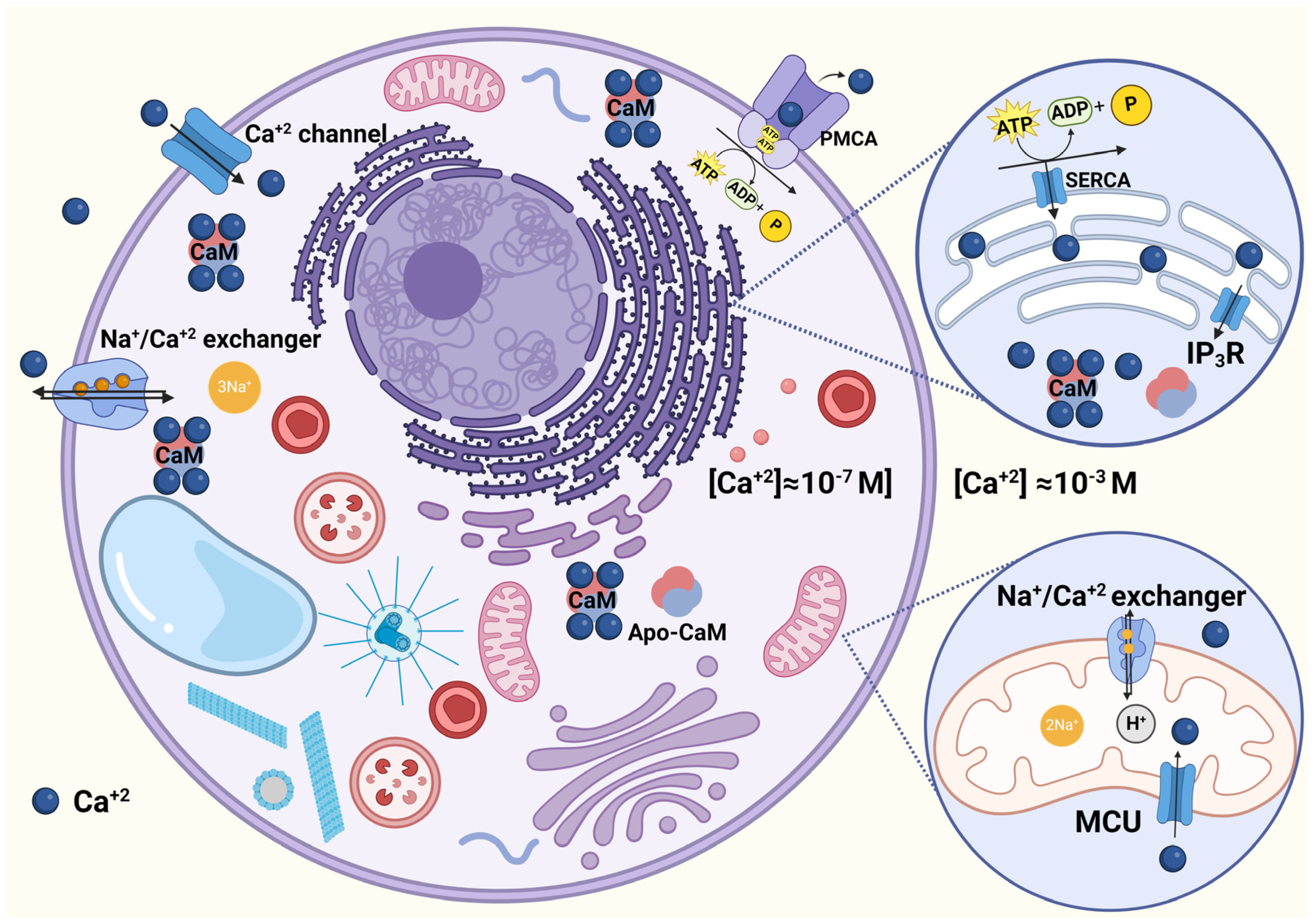 Biomolecules 14 00406 g001