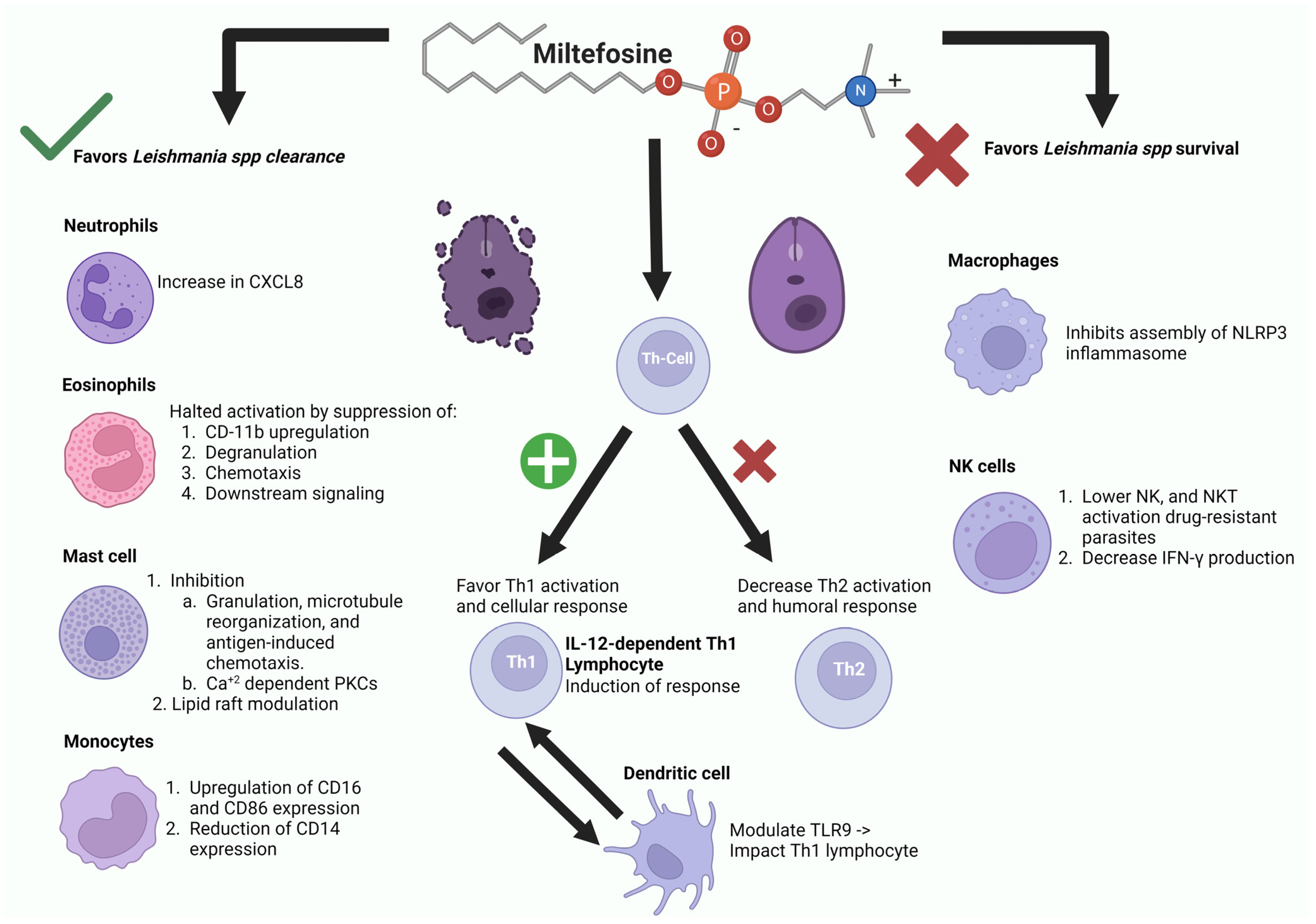 Biomolecules 14 00406 g006