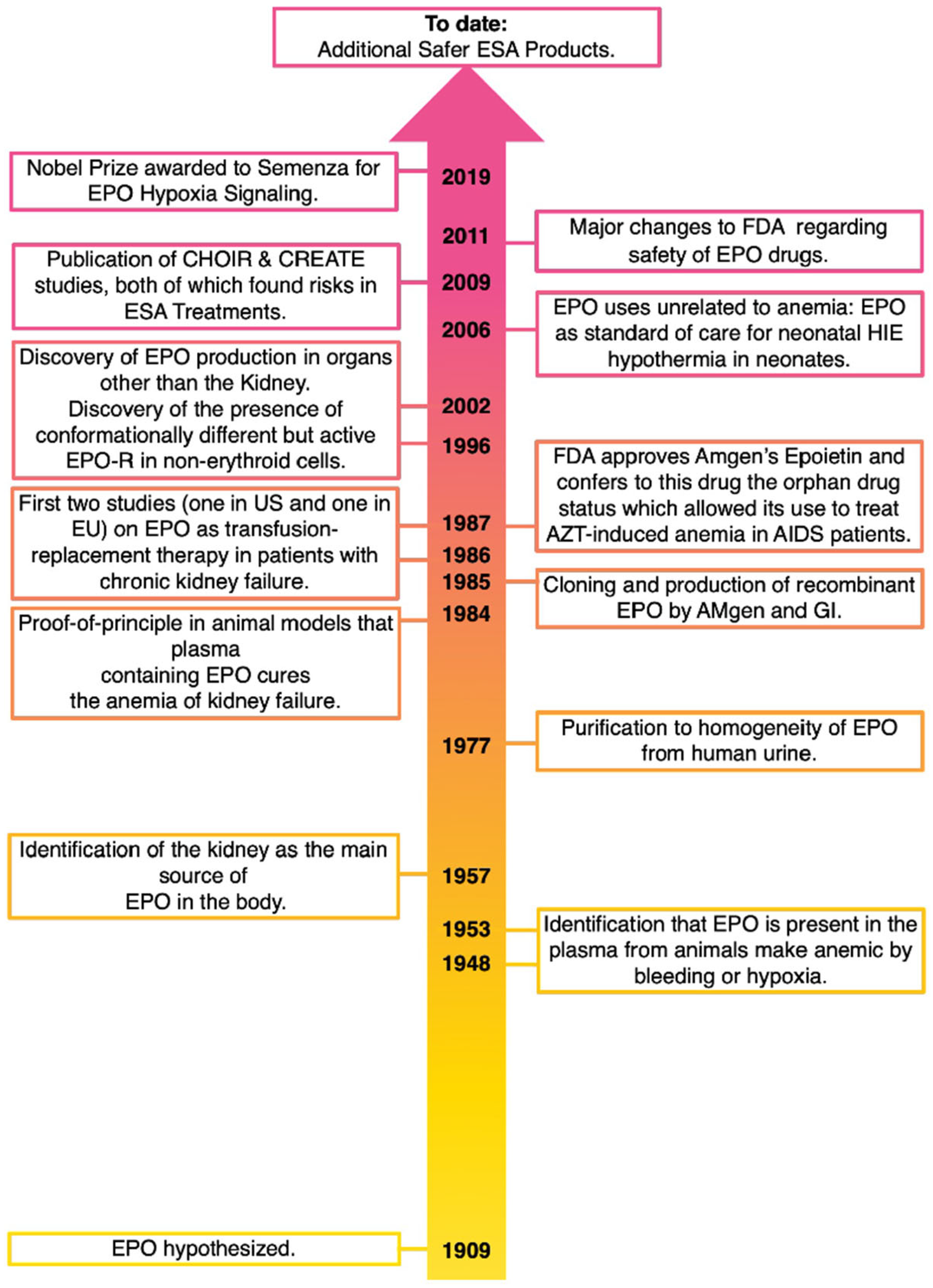 Biomolecules 14 00408 g001