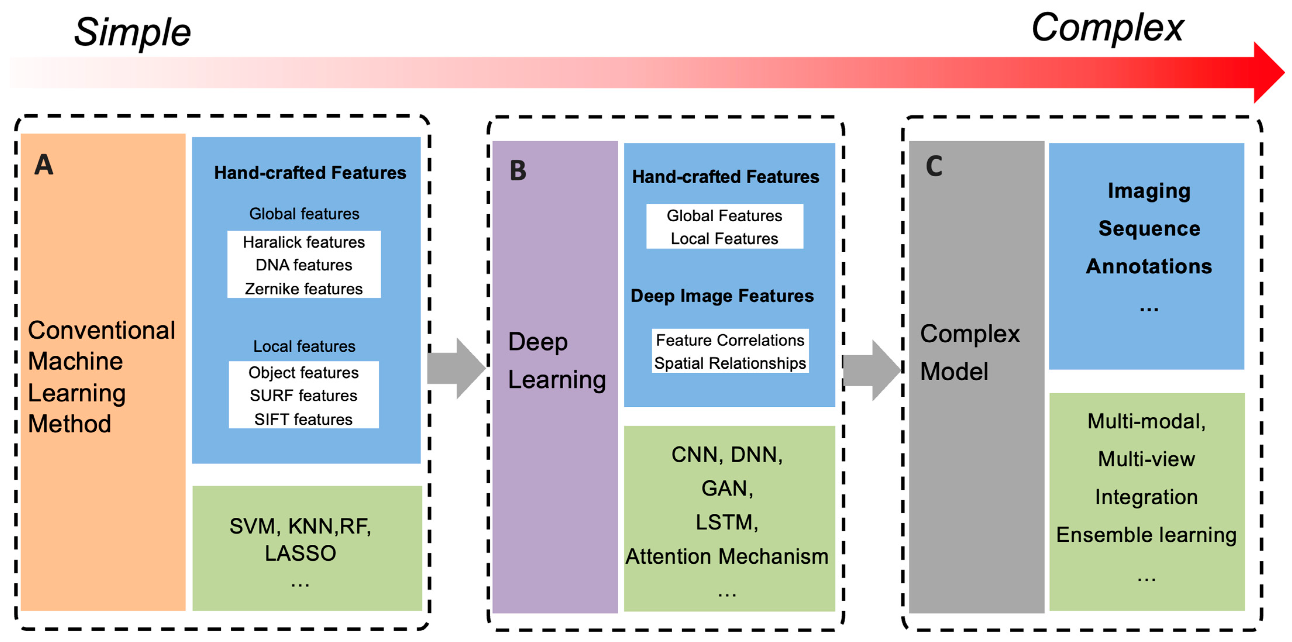 Biomolecules 14 00409 g003