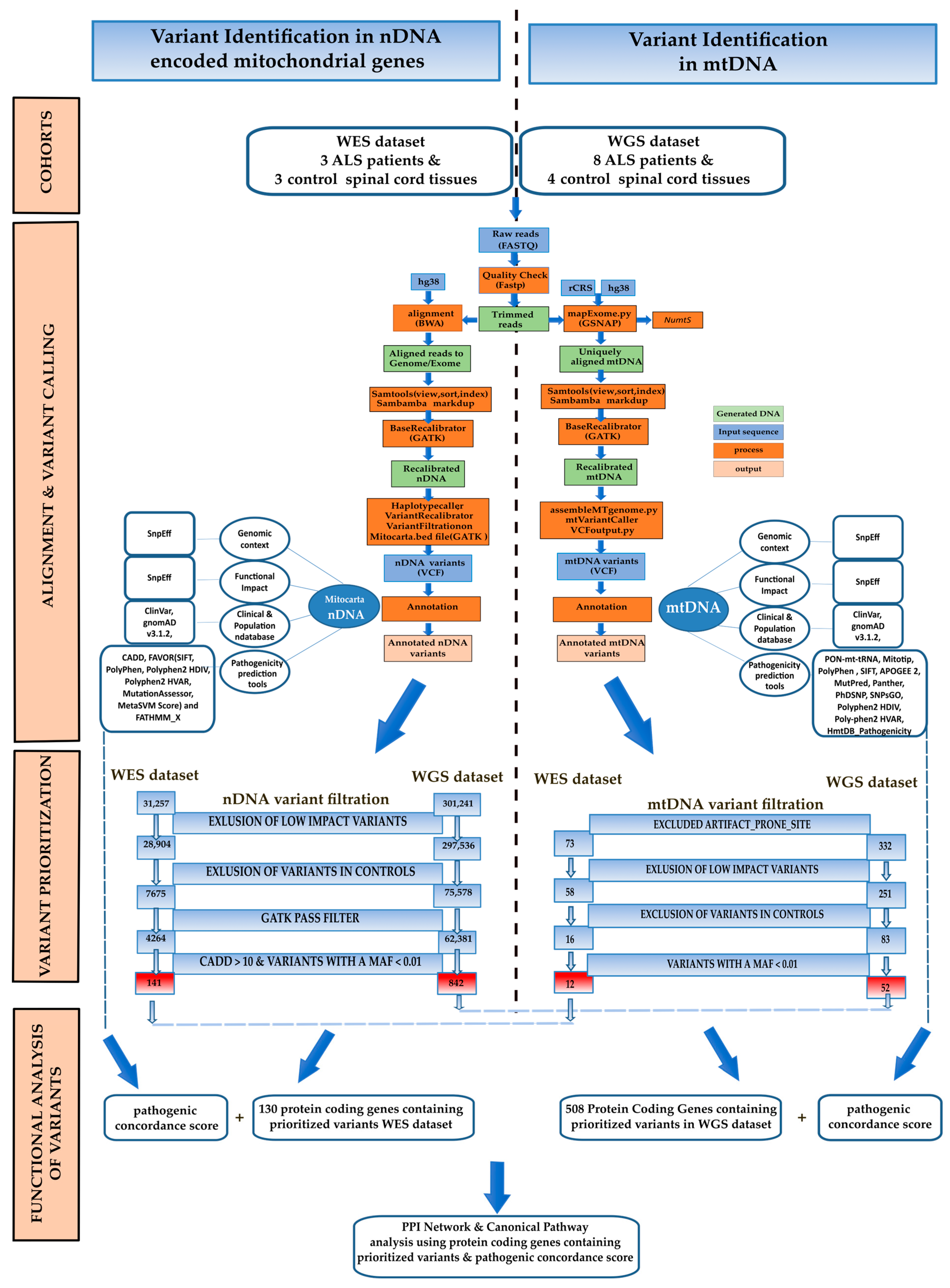 Biomolecules 14 00411 g001