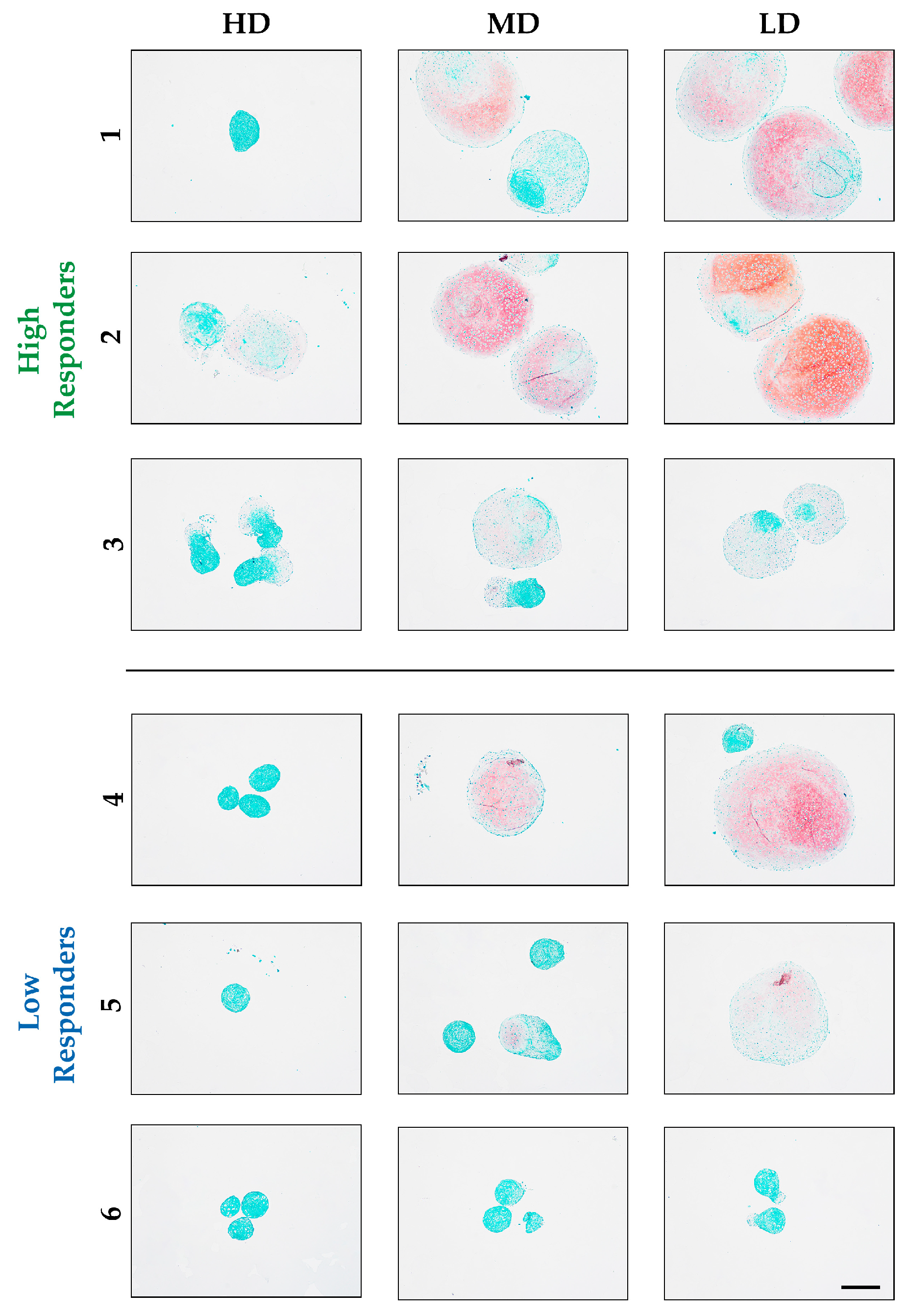Biomolecules 14 00413 g003 Biomolecules 14 00413 g003