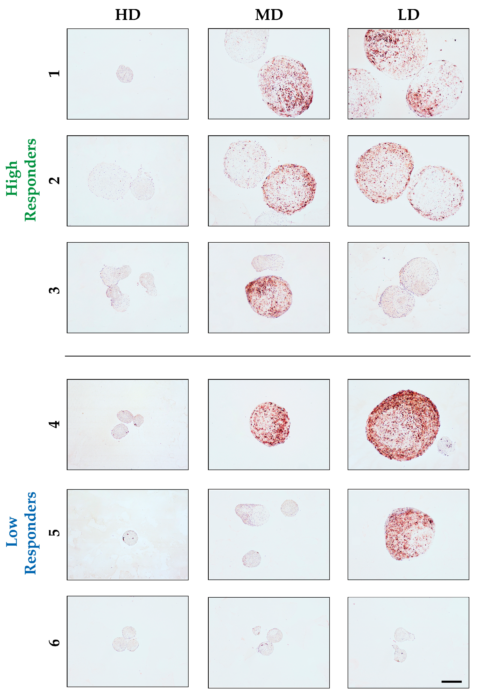 Biomolecules 14 00413 g004 Biomolecules 14 00413 g004