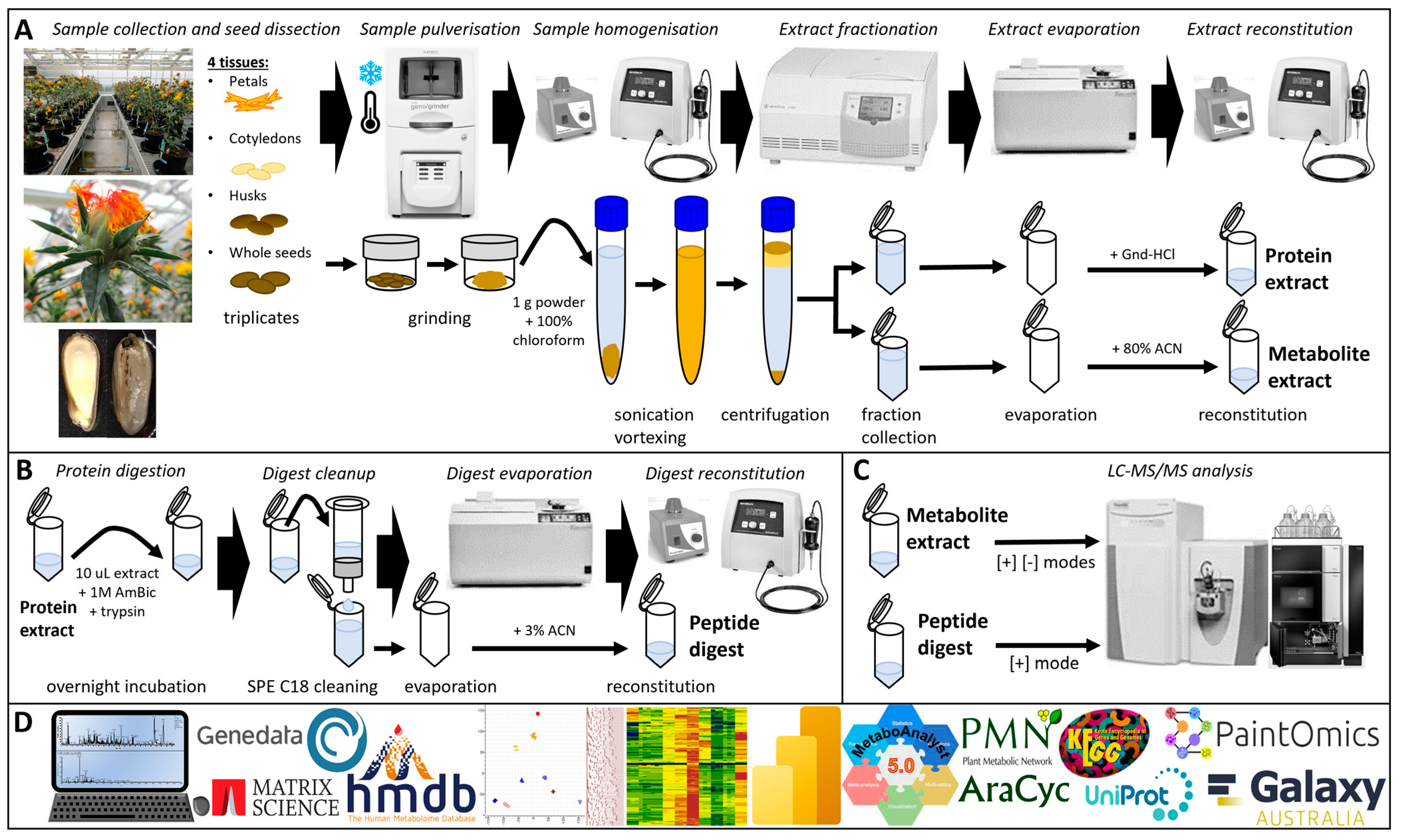 Biomolecules 14 00414 g002