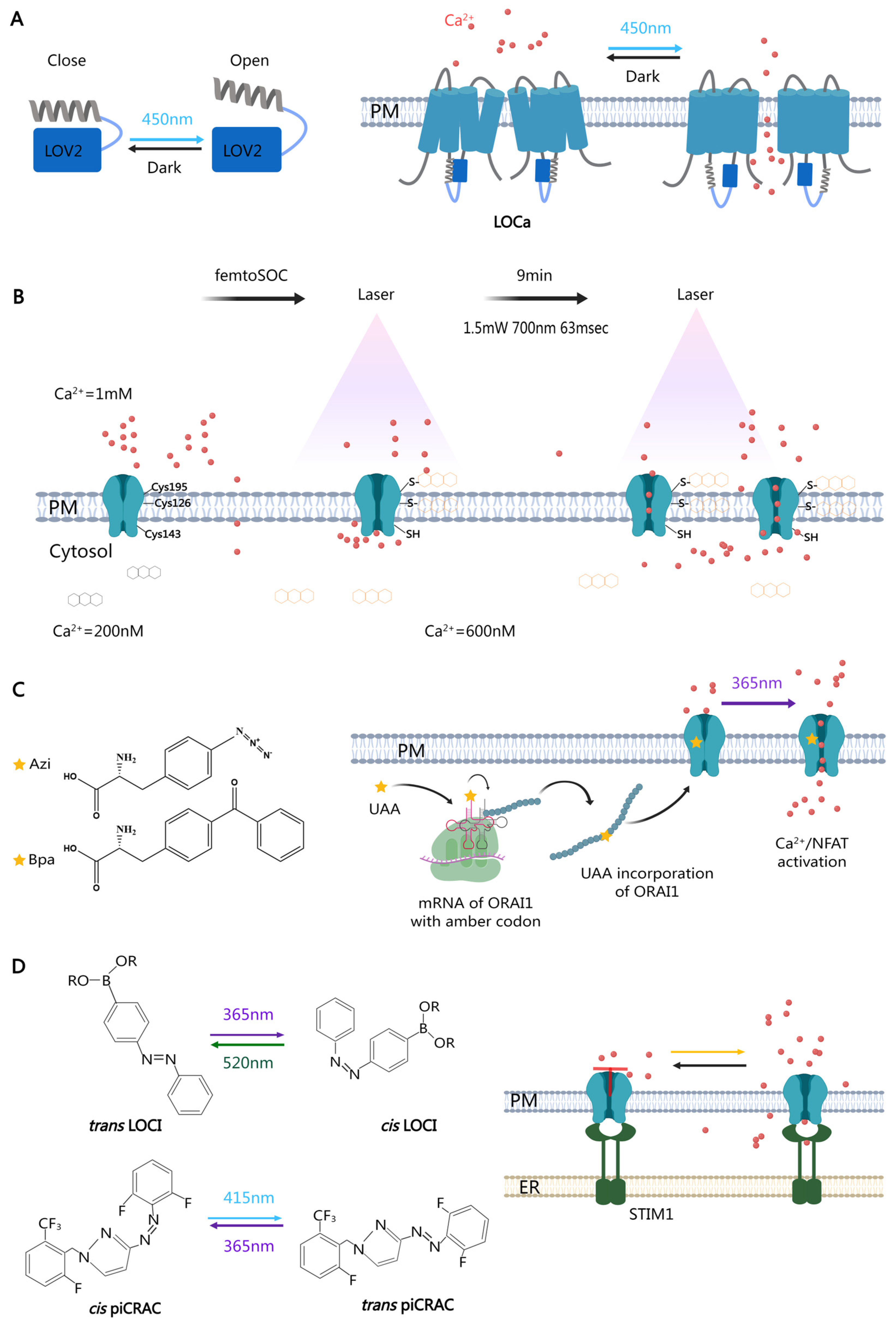 Biomolecules 14 00417 g002