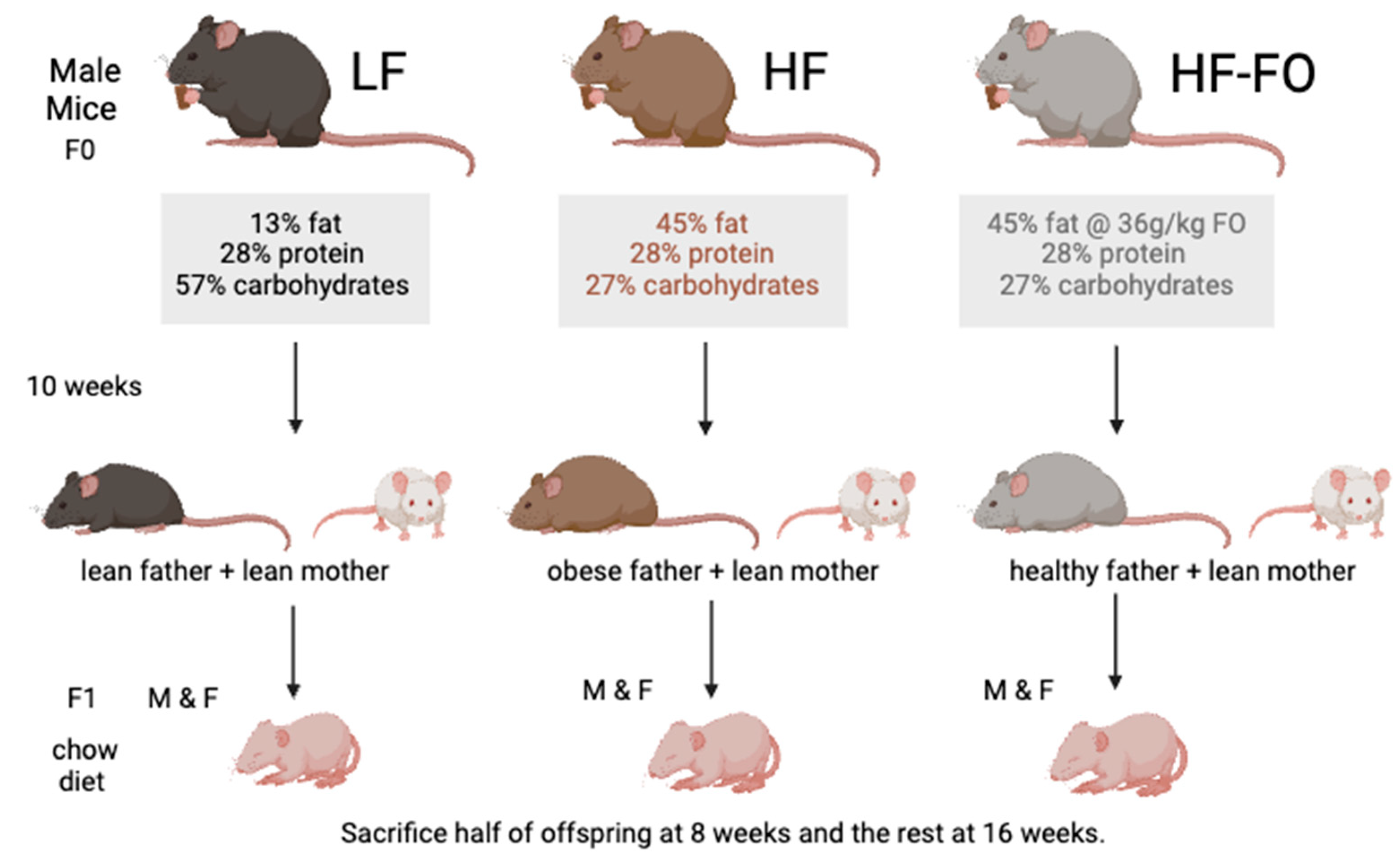 Biomolecules 14 00418 g001