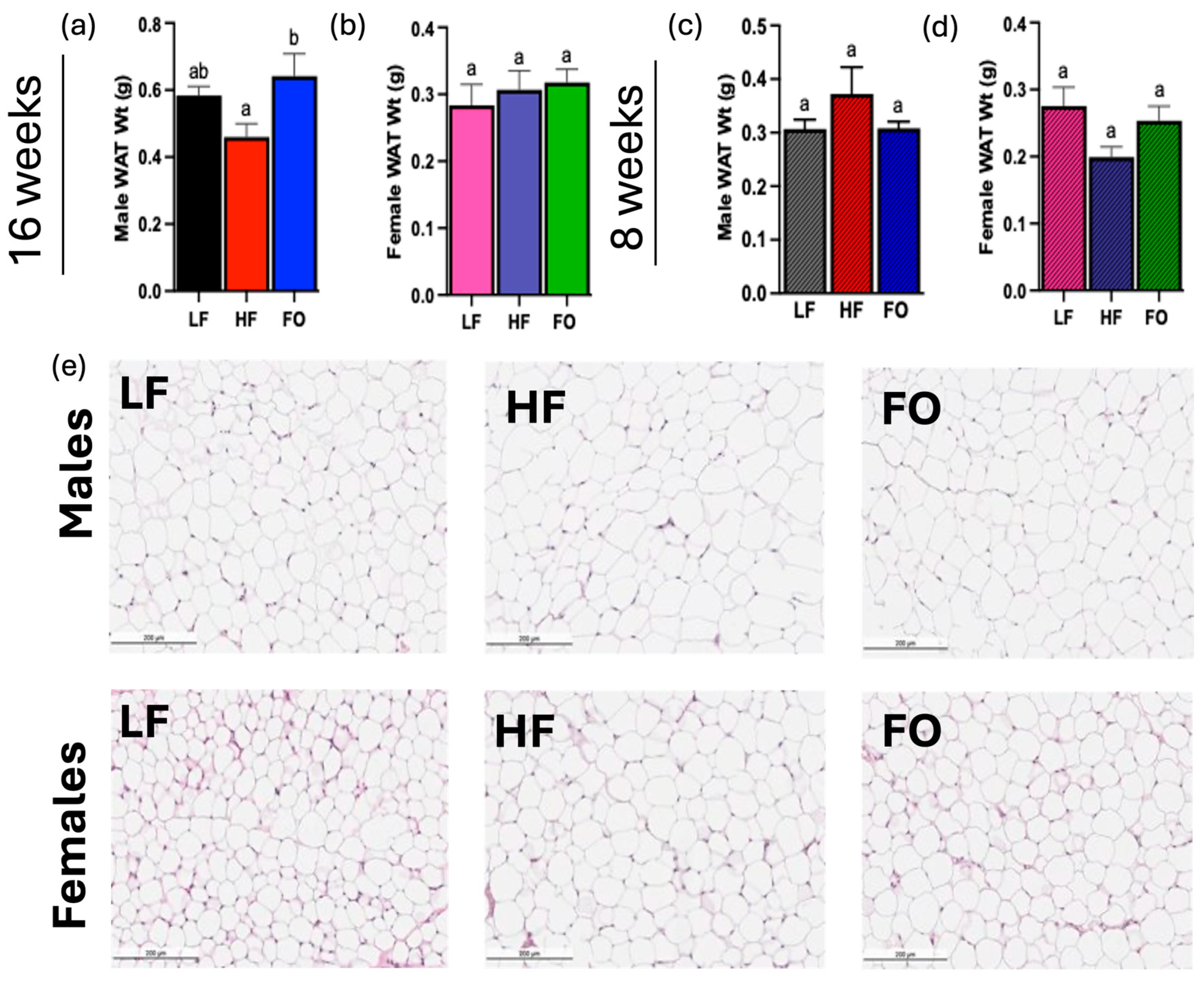 Biomolecules 14 00418 g004