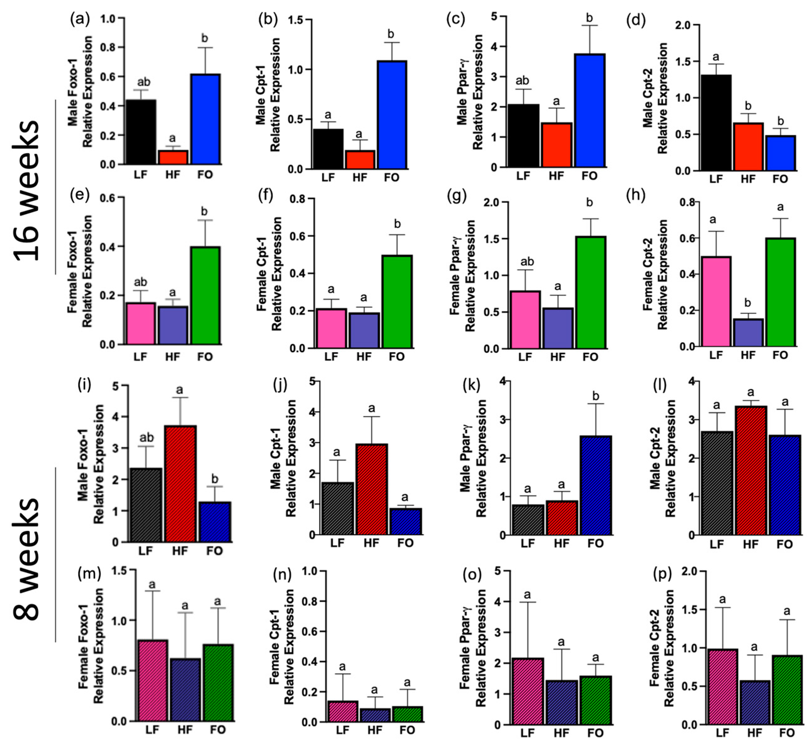 Biomolecules 14 00418 g005