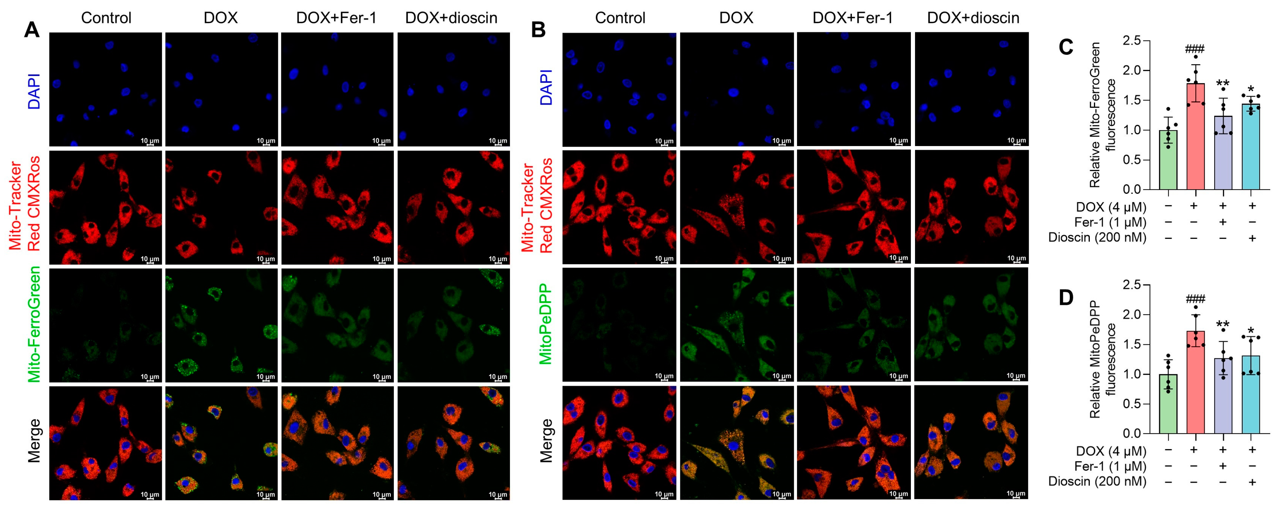 Biomolecules 14 00422 g006