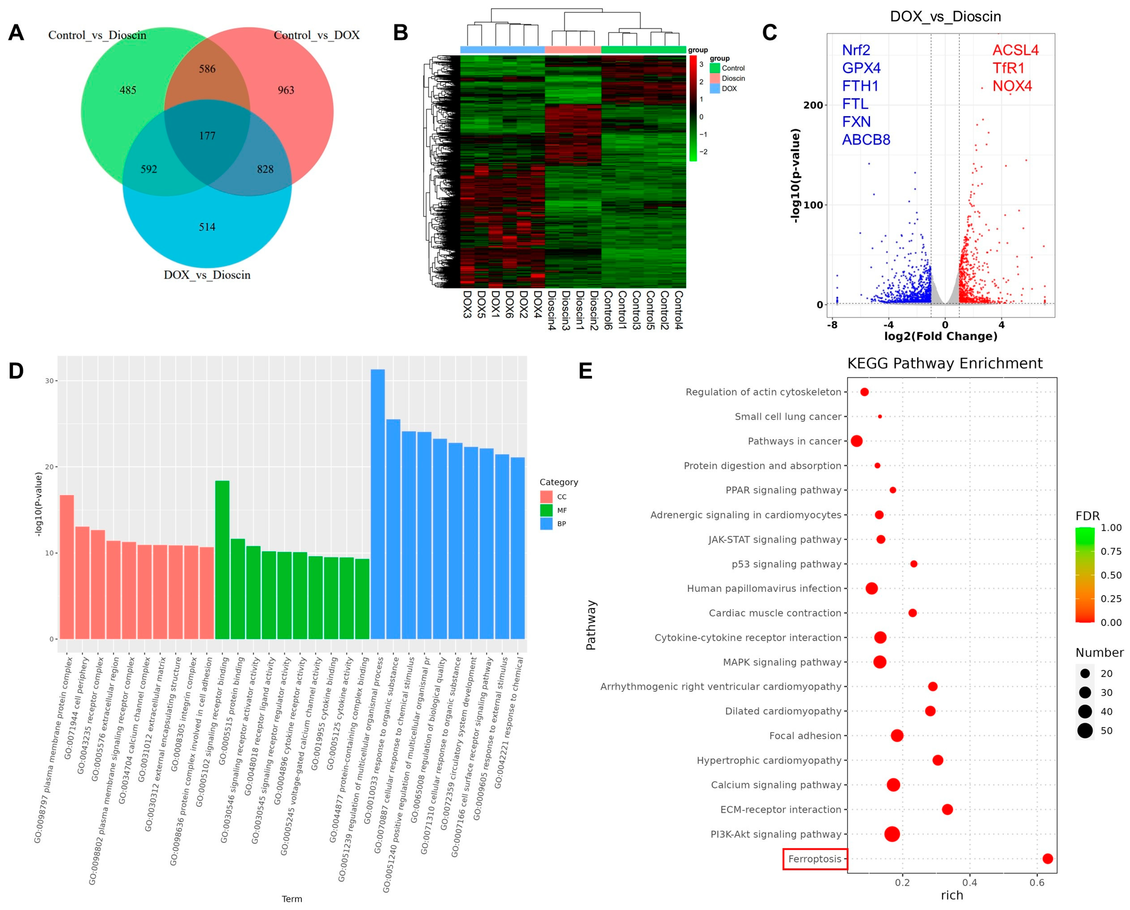 Biomolecules 14 00422 g007