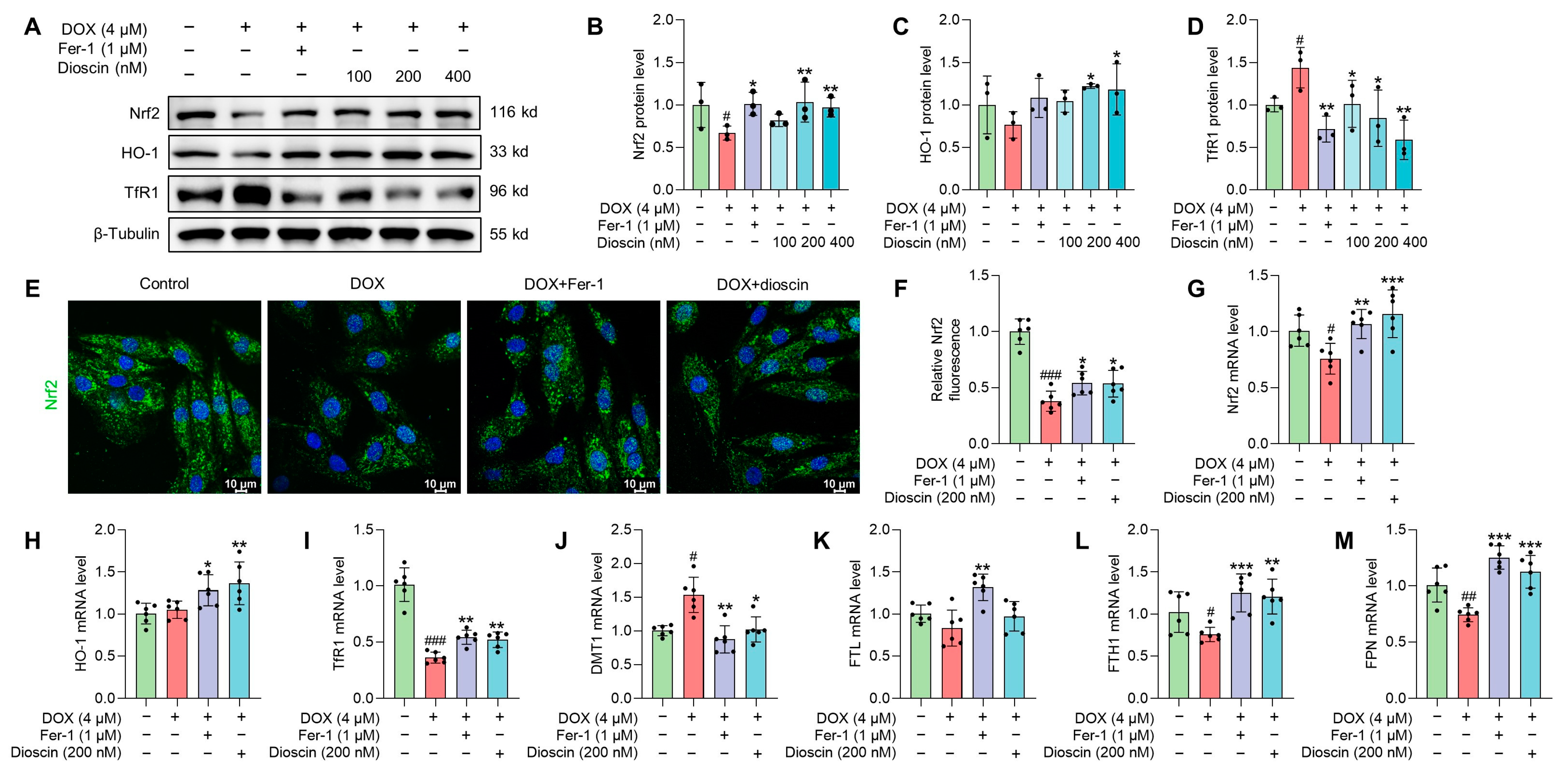 Biomolecules 14 00422 g009
