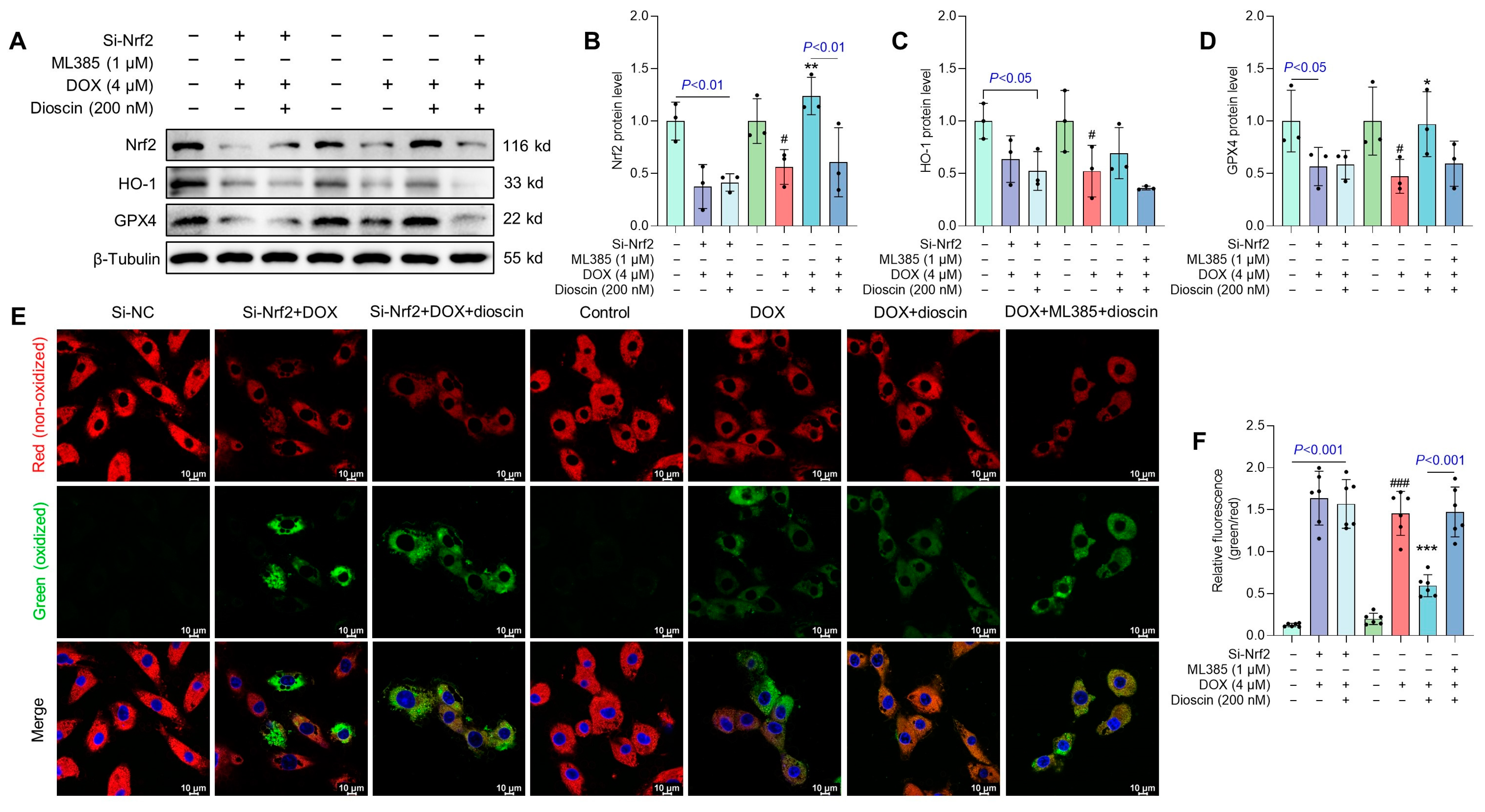 Biomolecules 14 00422 g011